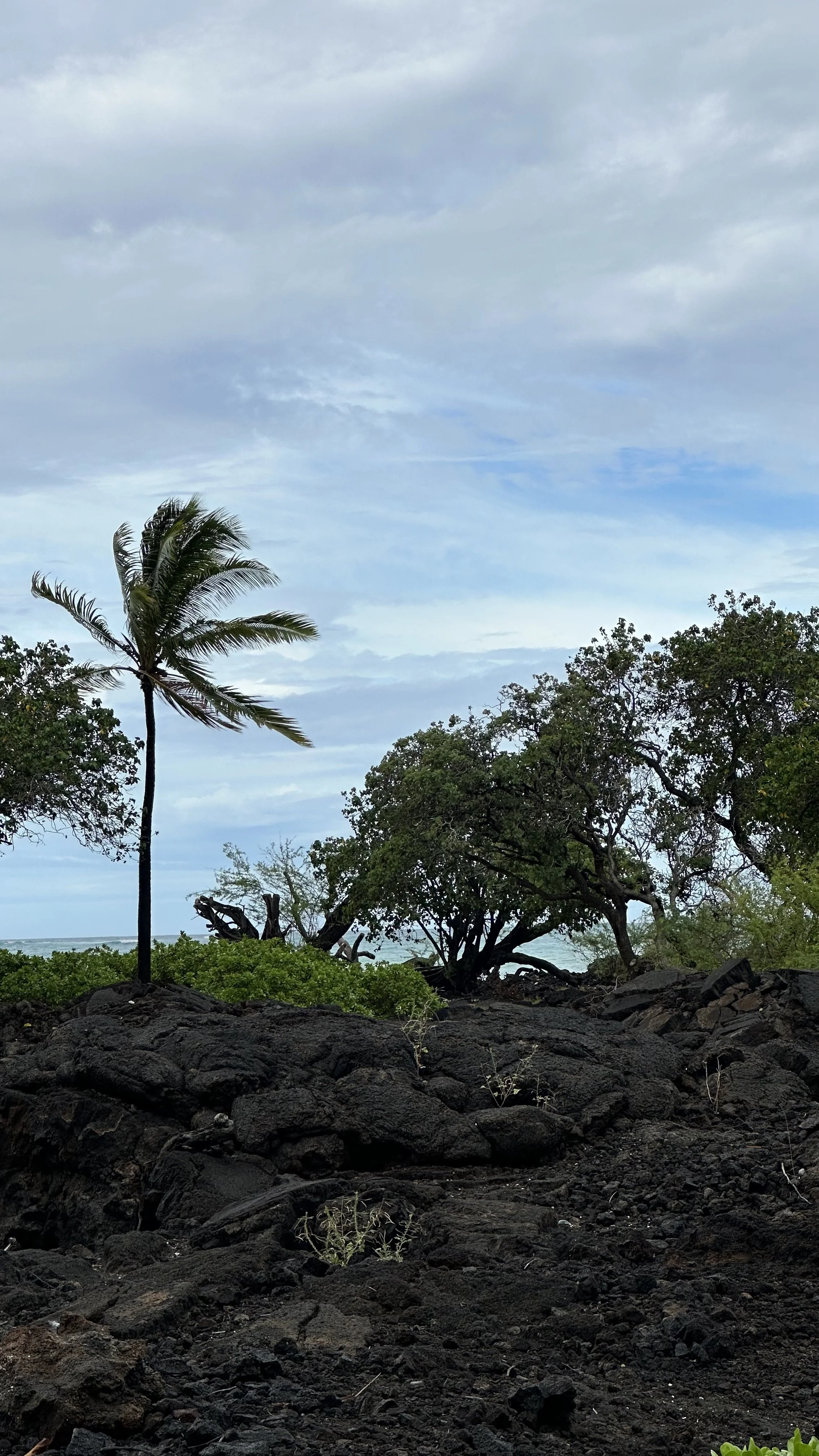 Fear Not — I Have Redeemed You