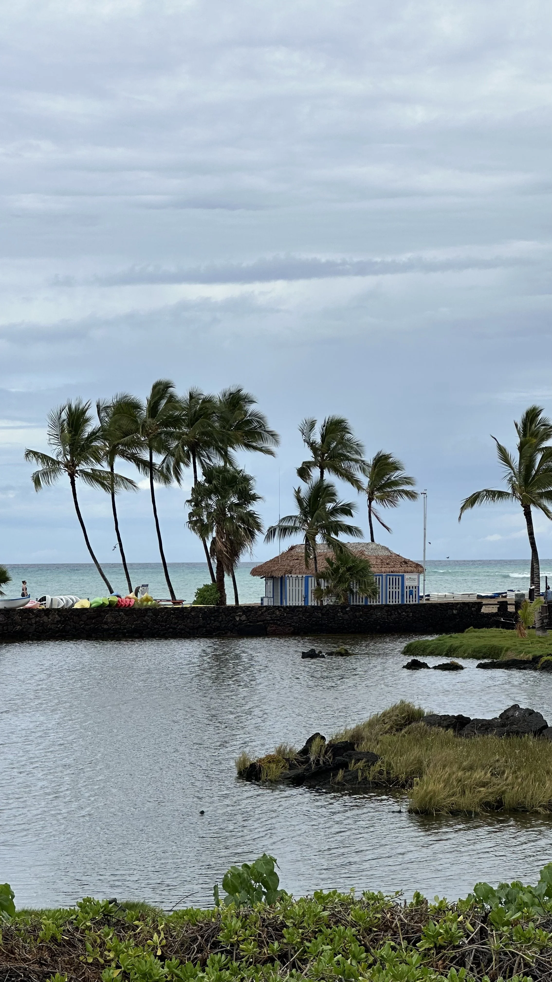 Bring Them Out — Still Blind, Still Called