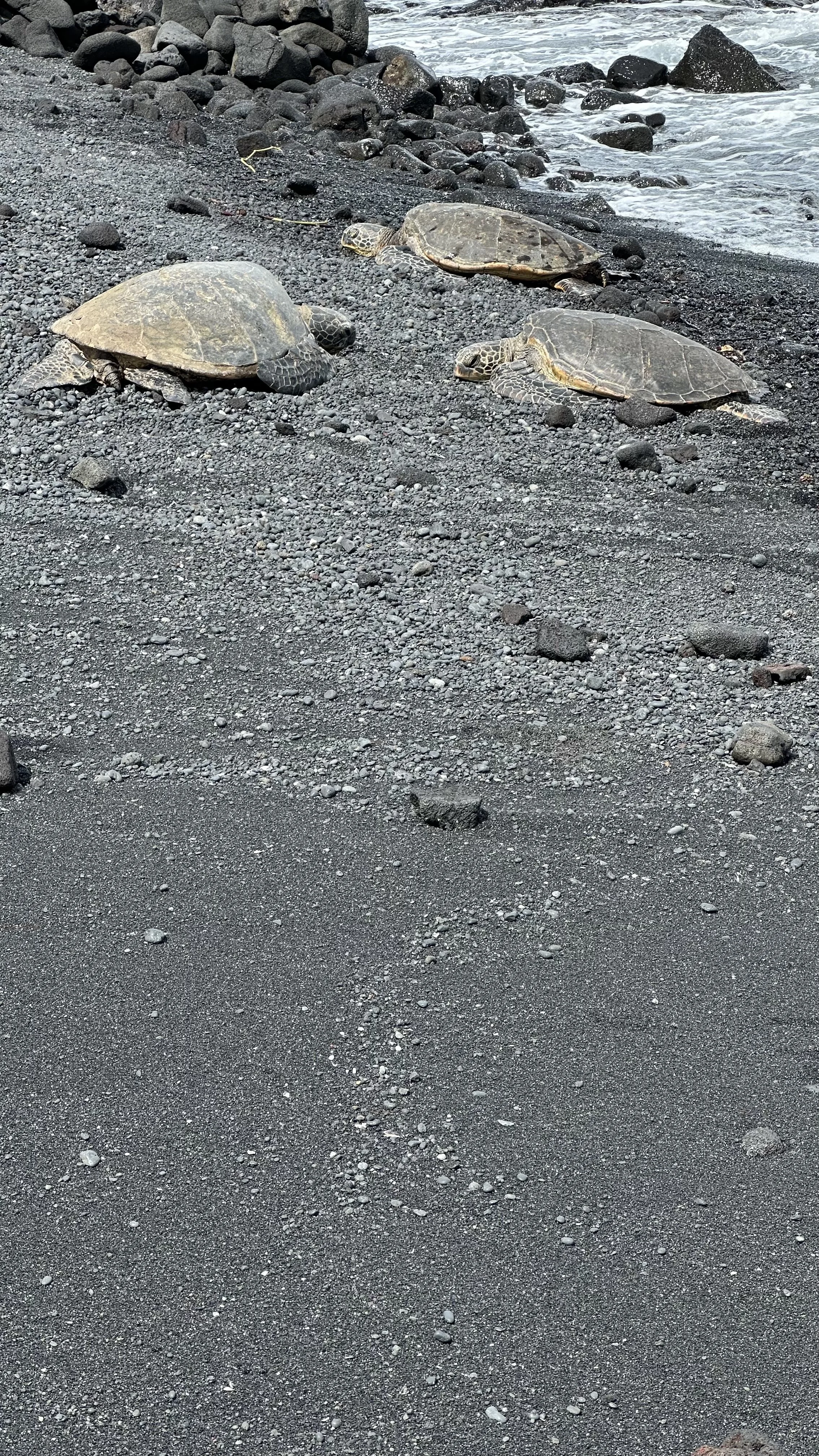 A New Thing — God Makes a Way