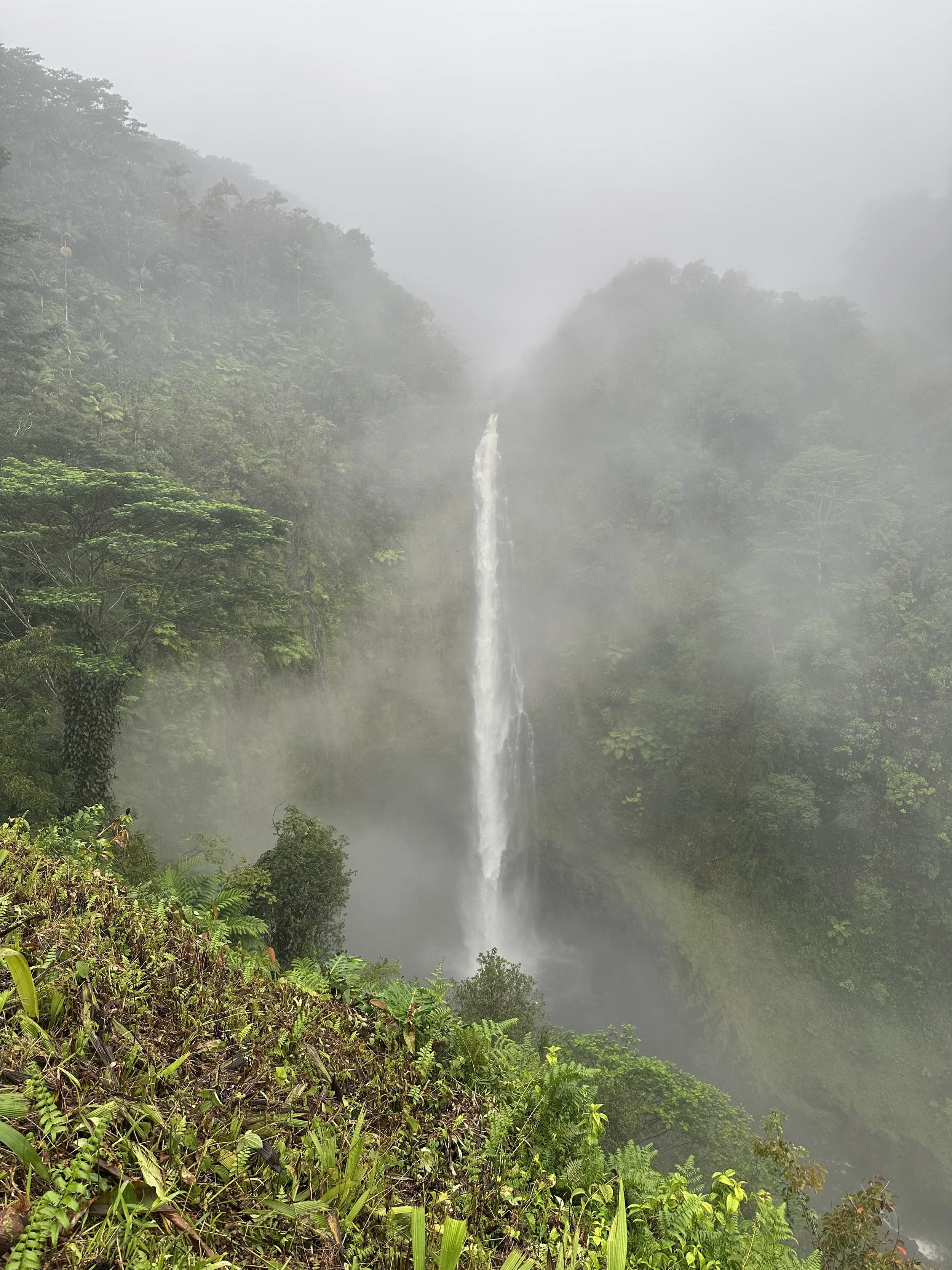 Rivers in the Wilderness — God Brings Life