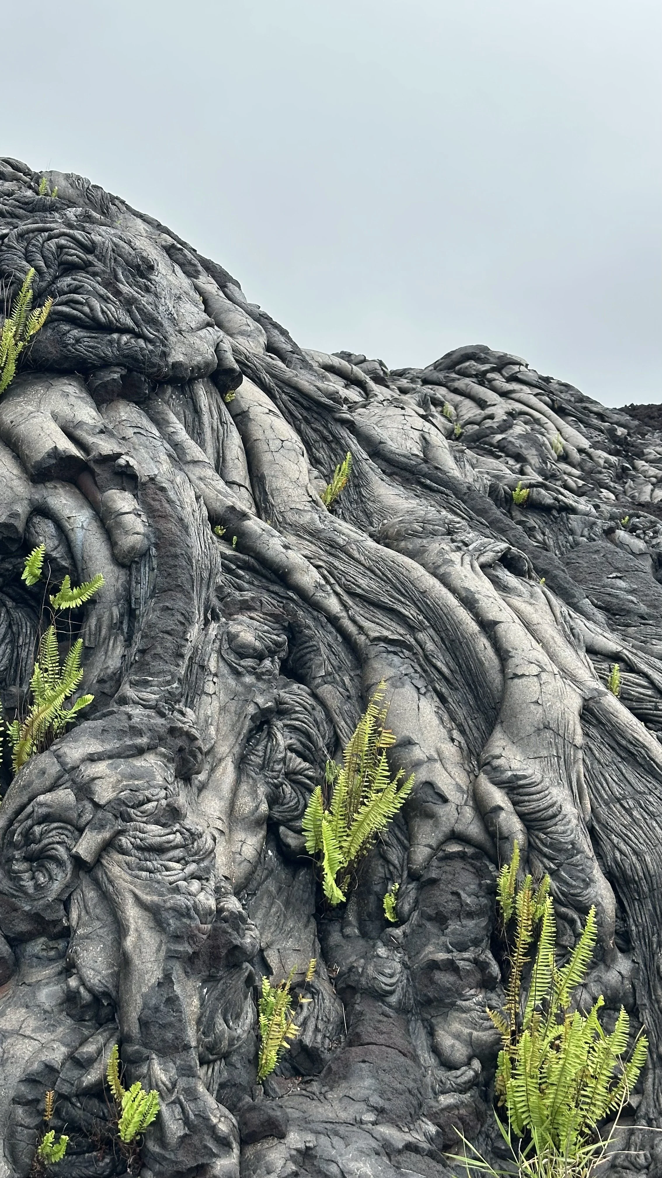 The Absurdity of Idols