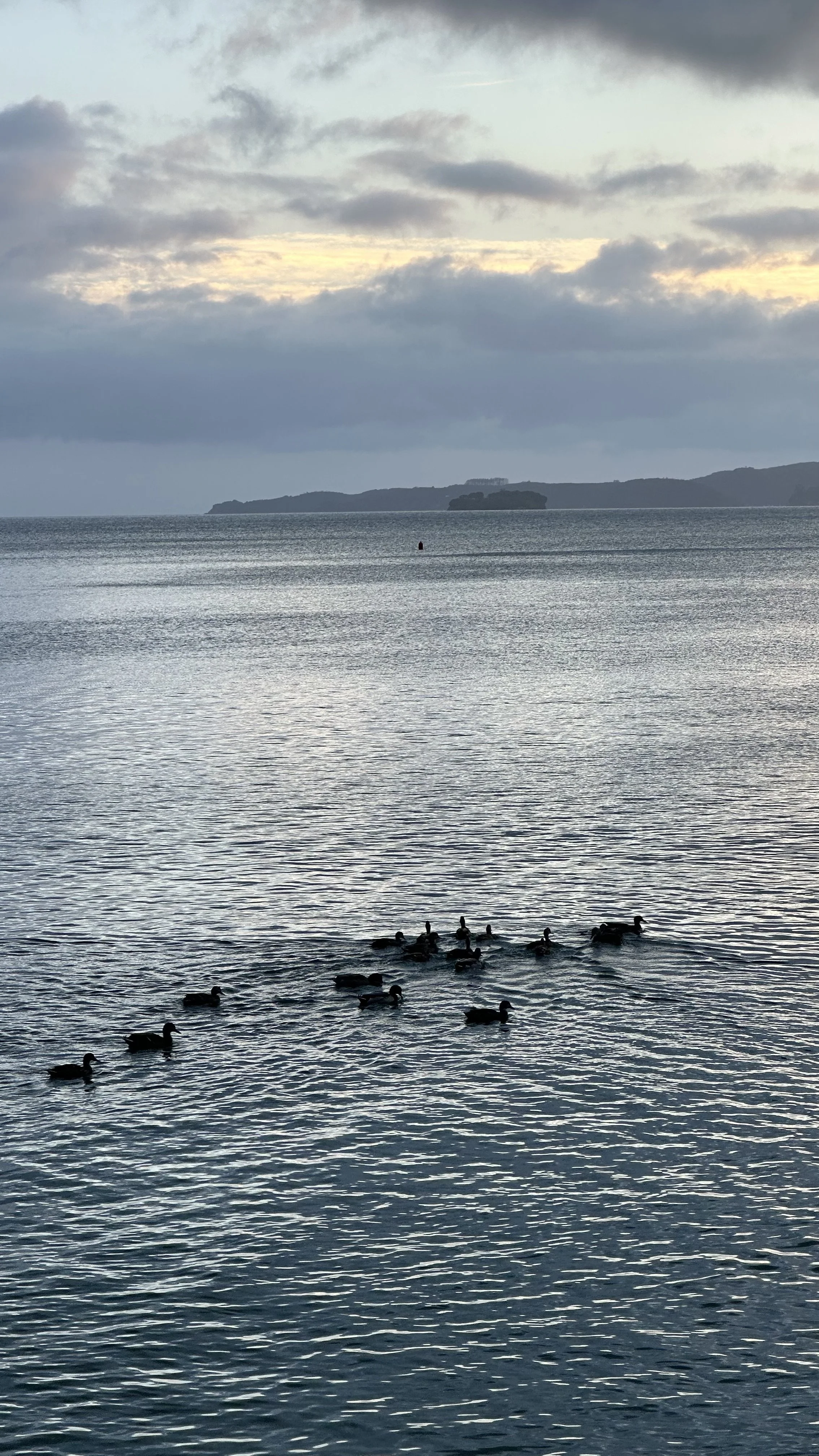 Listen — The One Who Speaks