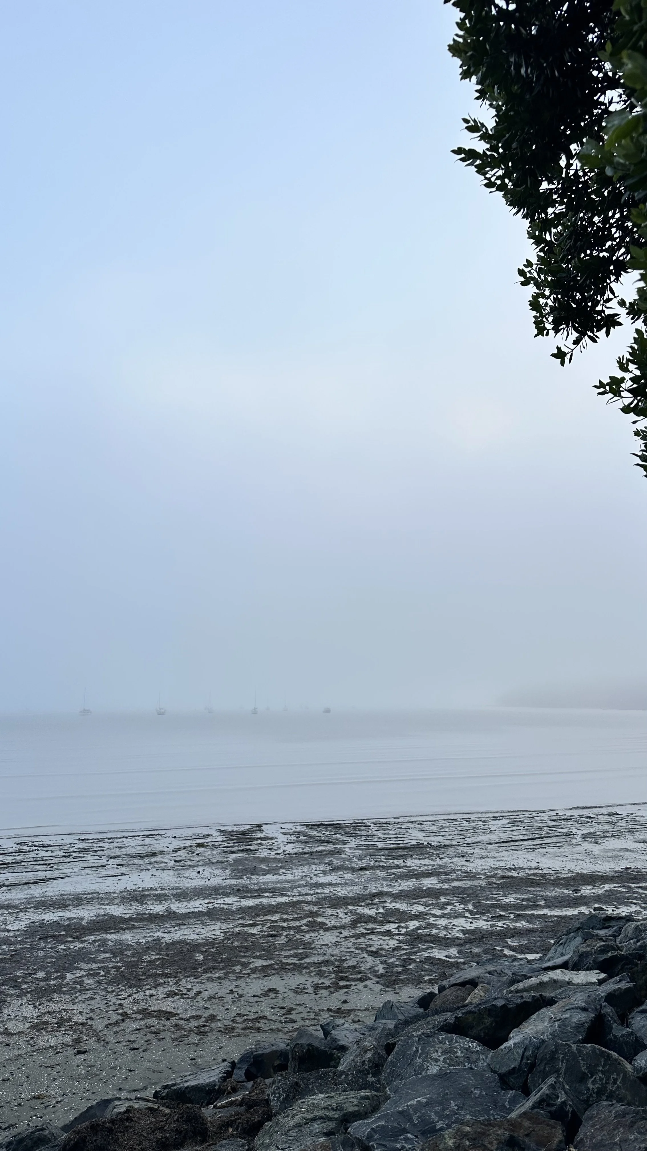 Oh That You Had Listened