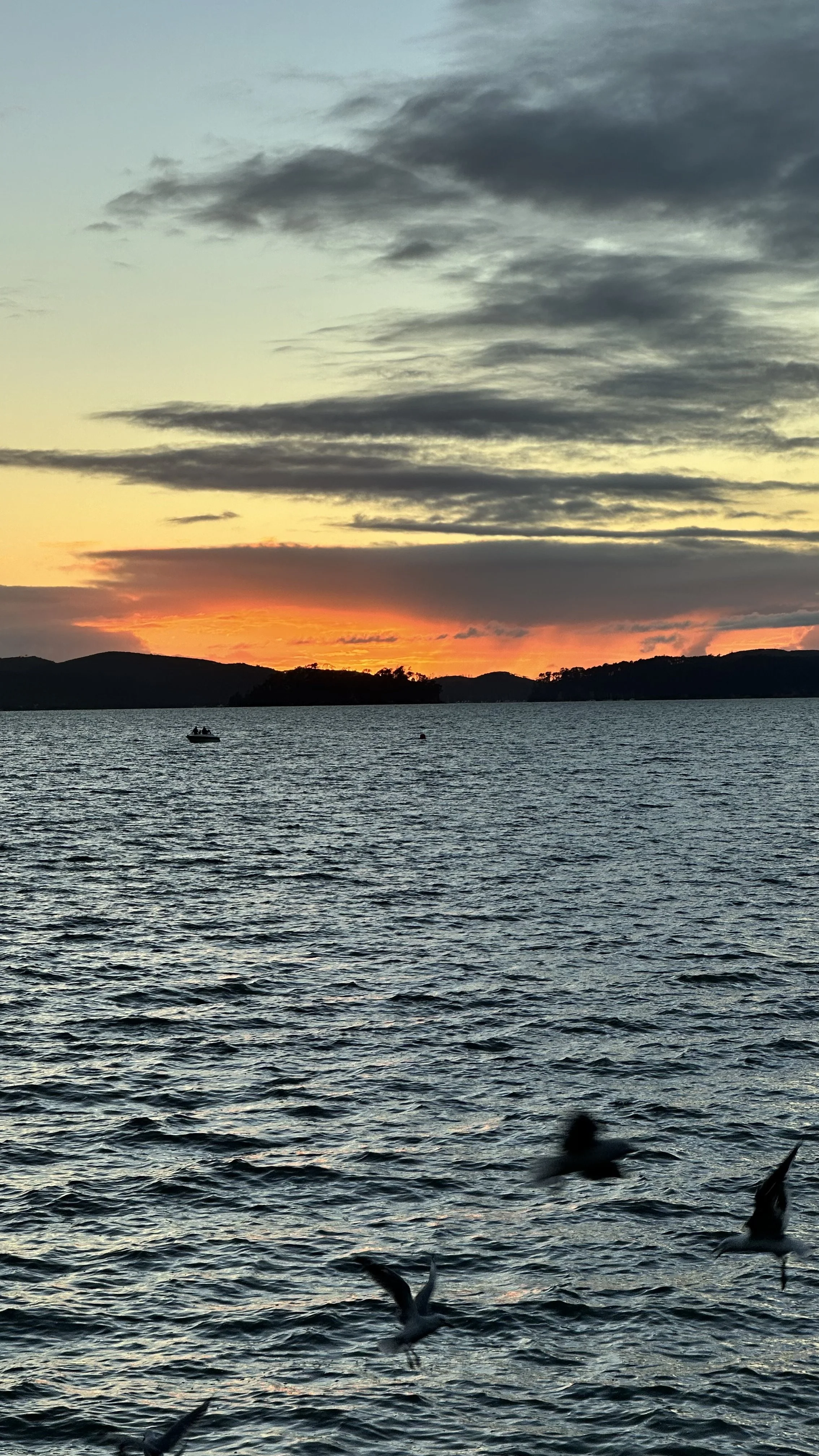 The Obedient Servant