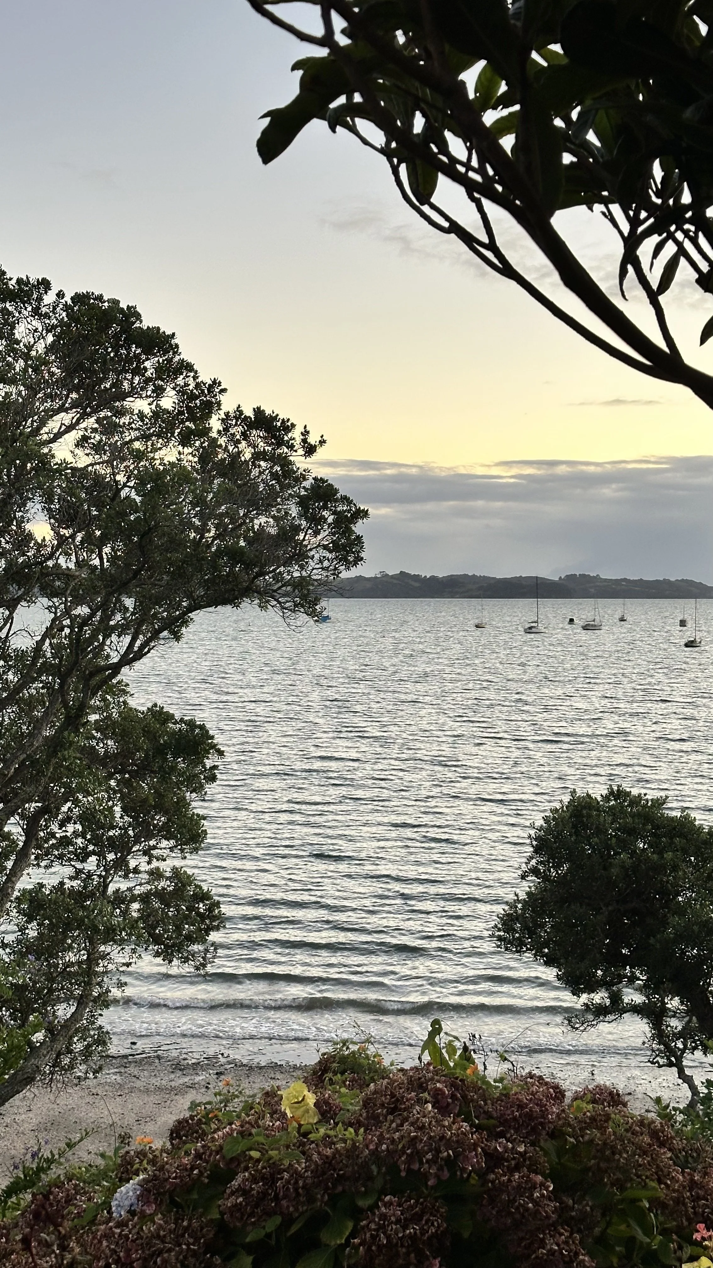 Trust in the Midst of Darkness