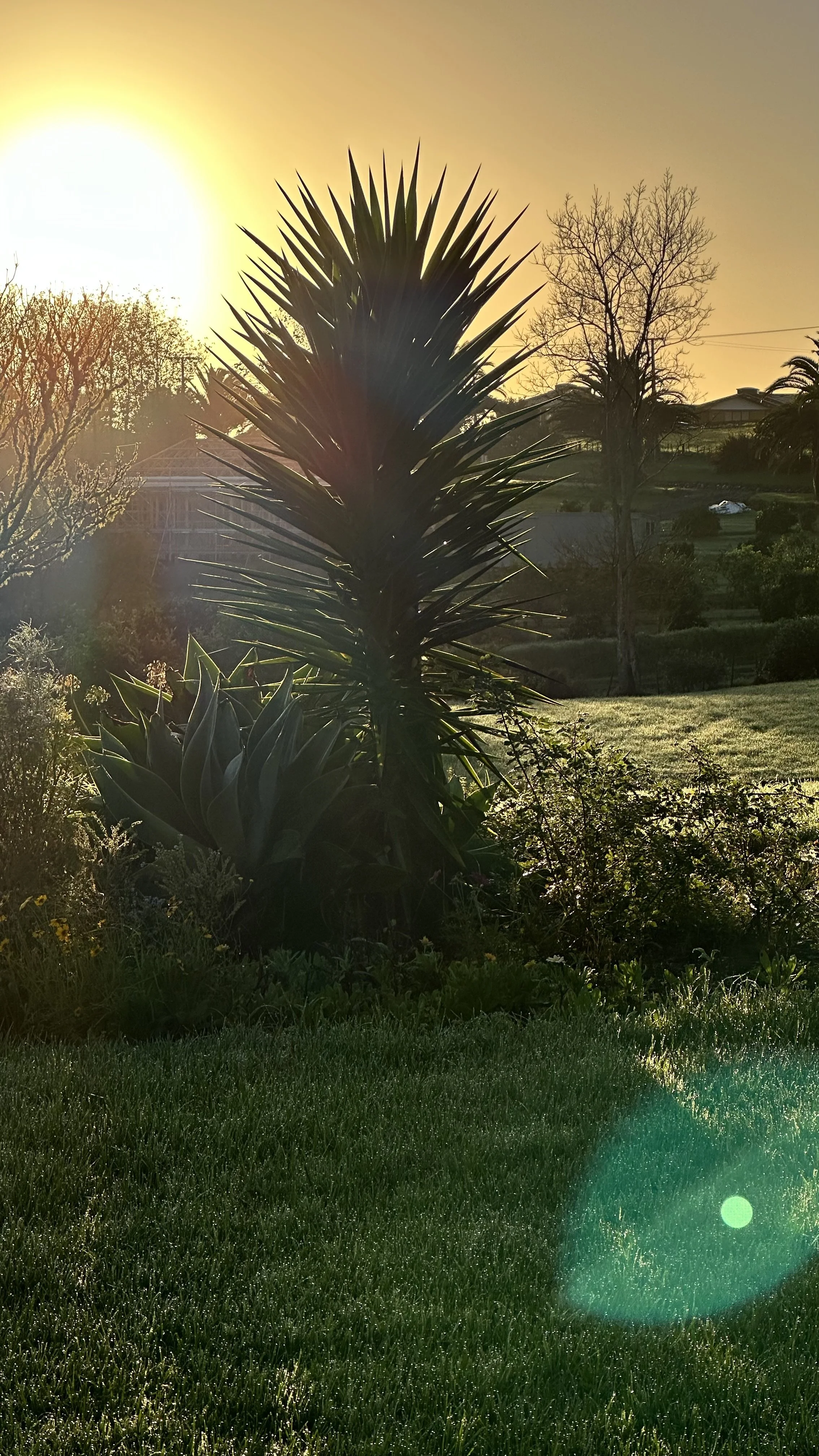 He bears our sin to bring us peace