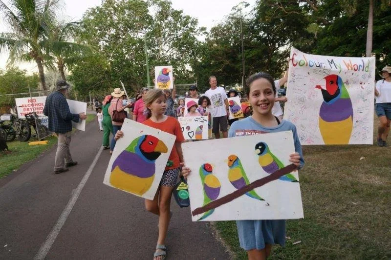 🌱 A Cool, Green & Clean Darwin 🌱
The City of Darwin is working towards a cooler, greener, cleaner city through three key strategies - including the 2030 Greening Darwin Strategy, which protects and enhances our city’s biodiversity and gr