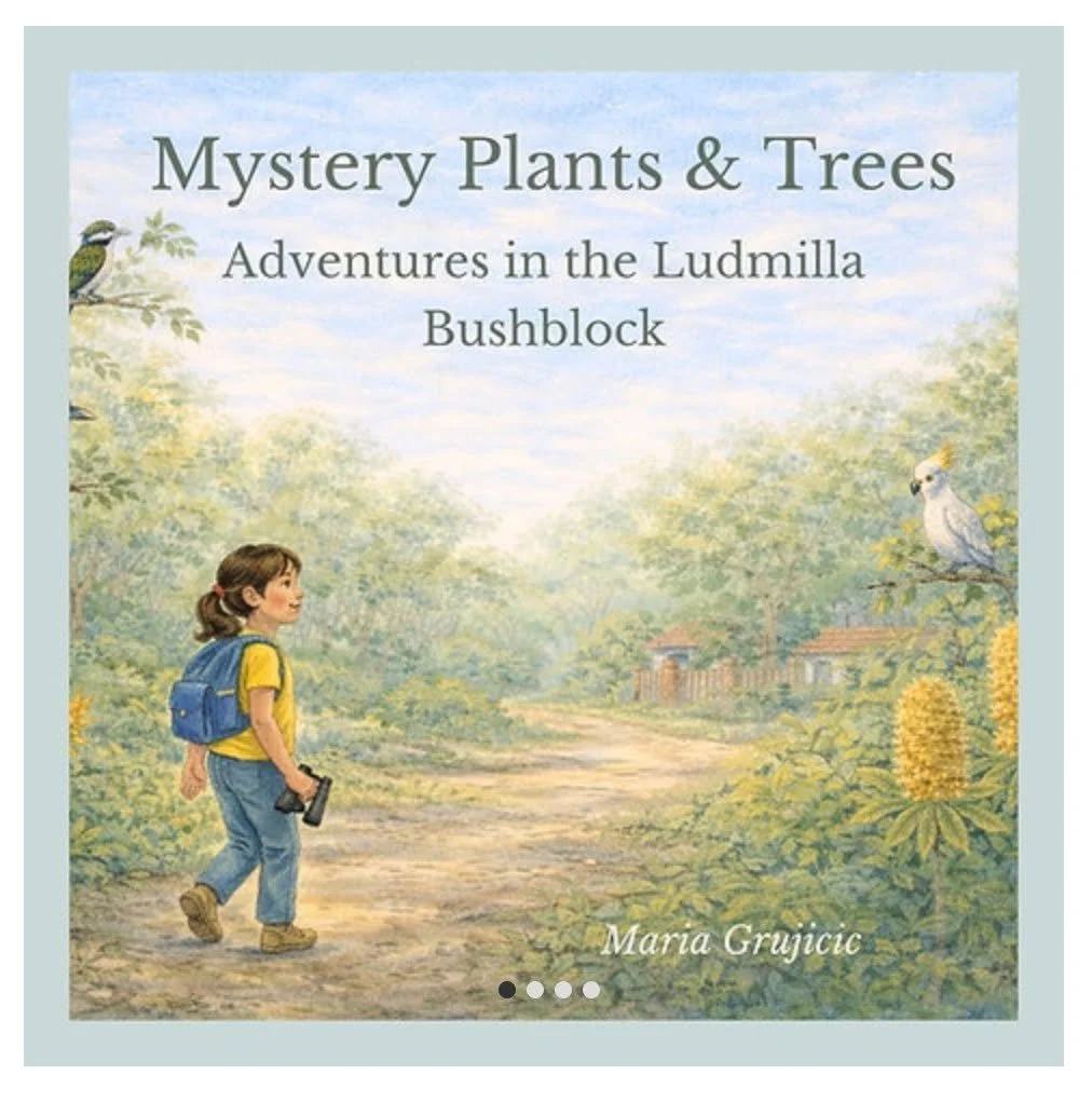 Darwin&rsquo;s lifestyle depends on our green spaces, they&rsquo;re essential to our health and our culture. Local Darwin artist and educator Maria Grujicic has published a nature-inspired children&rsquo;s picture book, Mystery Plants &amp; Trees: Ad