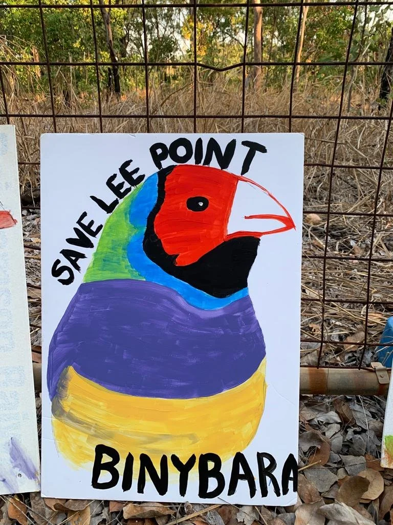Let's protect Territory Lifestyle, that is access to our unique bushland. The Northern Territory is a destination for bird tourism, and Binybara is visited by birdwatchers from around the world. Many travel long distances to see the unique species th