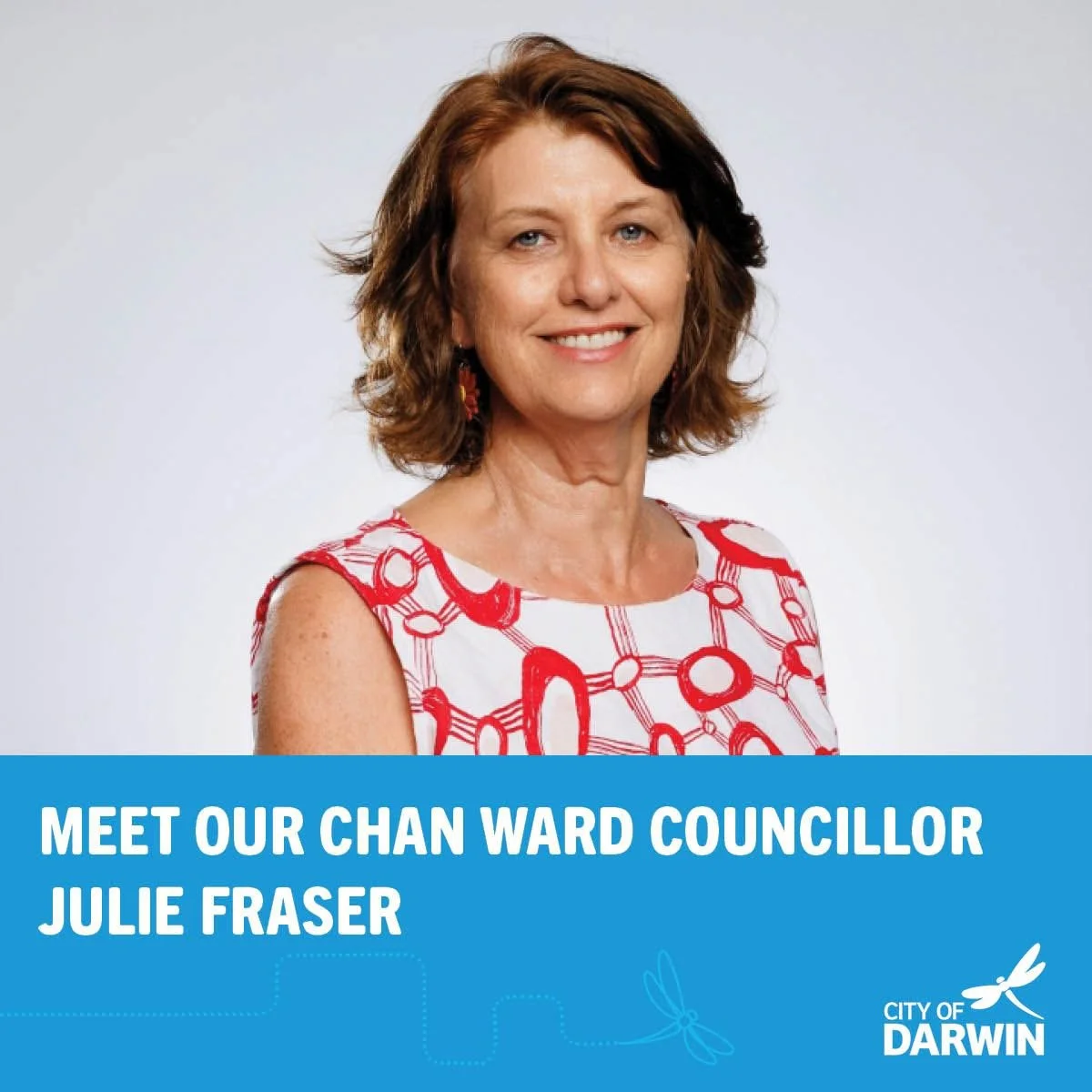 I'm Julie Fraser one of the Councillors for Chan Ward. Chan includes the suburbs of Coconut Grove, East Point, Fannie Bay, Jingili, Ludmilla, Millner, Nightcliff and Rapid Creek. 

If this is your area, get in contact with me about issues that matter