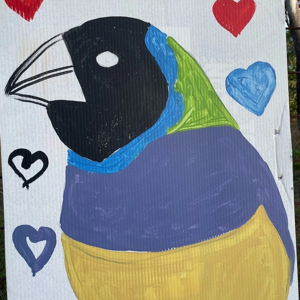 There&rsquo;s a beautiful free art exhibition along the fencing at Lee Point &ndash; Binybara.

It&rsquo;s been created by our community, and it says something powerful: people care deeply about this place. If you haven&rsquo;t been yet, go and take 