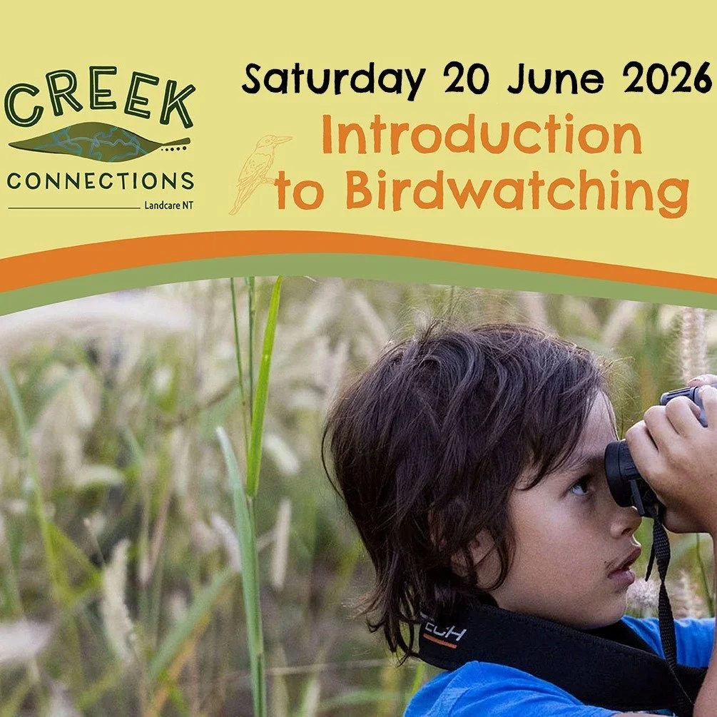 Creek Connections from @landcarent_ is running events in Chan Ward at Rapid Creek - Garrambai and Ludmilla. Come along to tune into the stories, sounds and sights of our local fresh water places. 

Sign up for an event: https://www.creekconnections.o