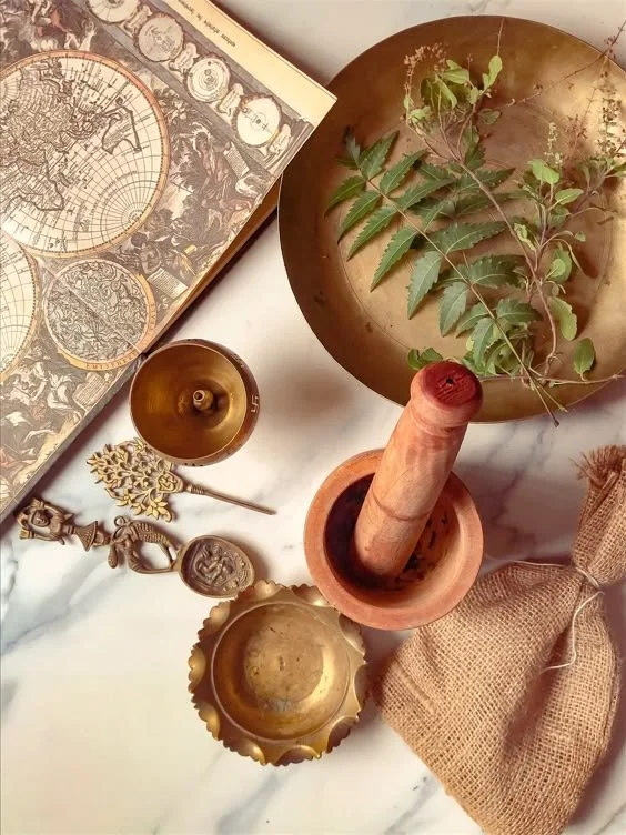 The Root — Nourishment & Herbal Alchemy