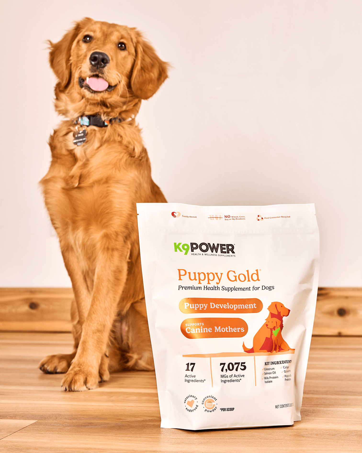 K9 Power Packaging Redesign Premium Health Supplement for Dogs Puppy Gold Anna Ison Auros Design