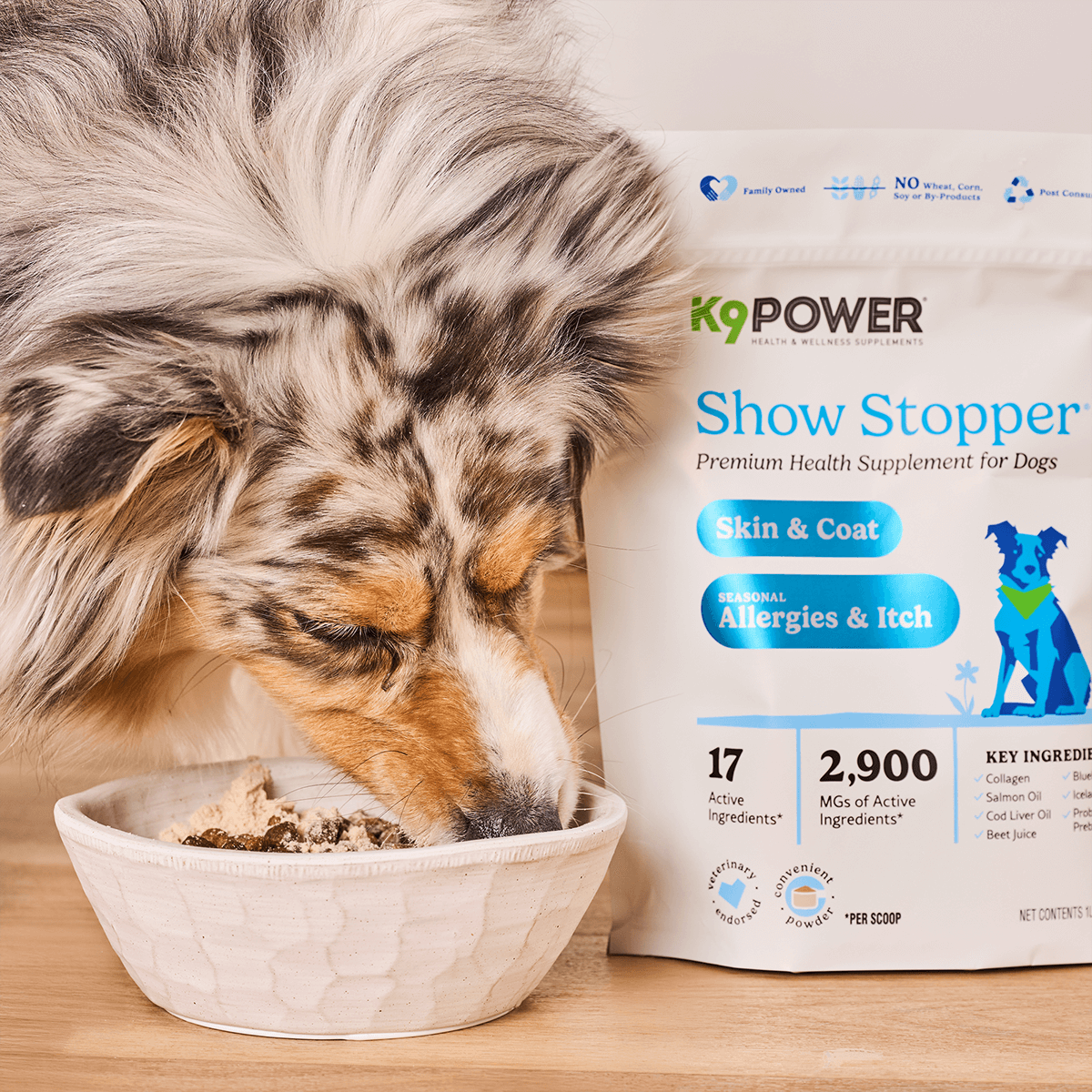 K9 Power Packaging Redesign Premium Health Supplement for Dogs Show Stopper Auros Design Anna Ison Packaging System Portfolio Architecture