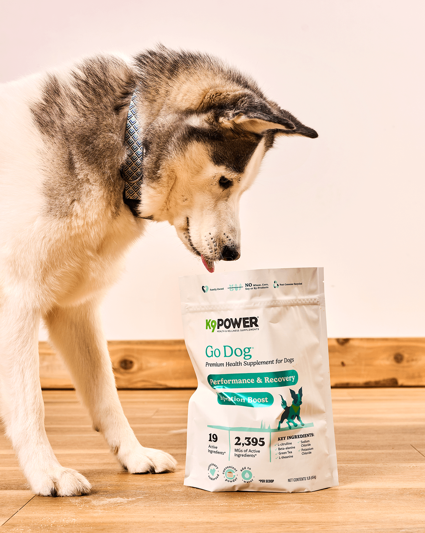 K9 Power Packaging Redesign Hungry Husky Go Dog Auros Design