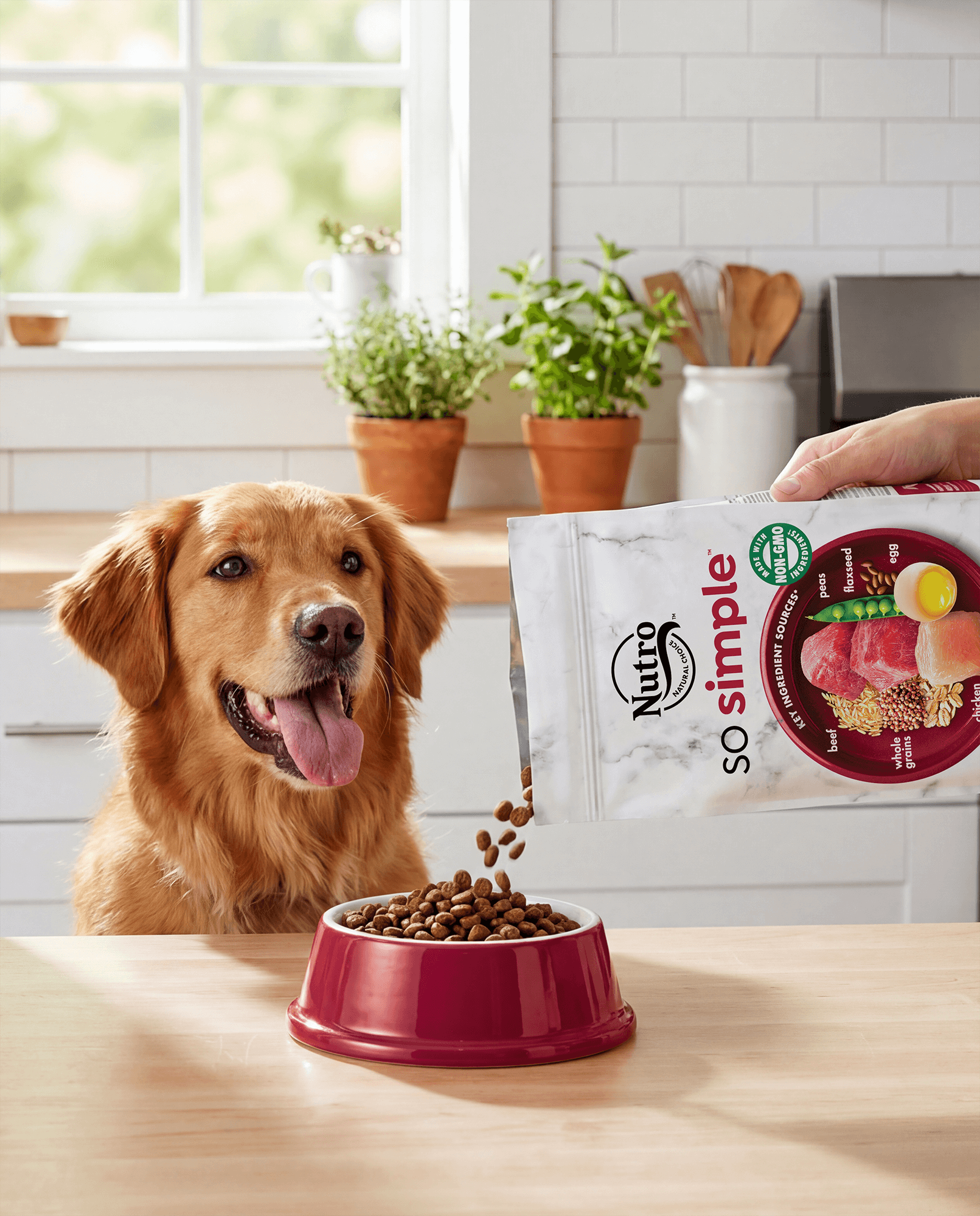Nutro So Simple Packaging Design Anna Ison Auros Design Dog Food