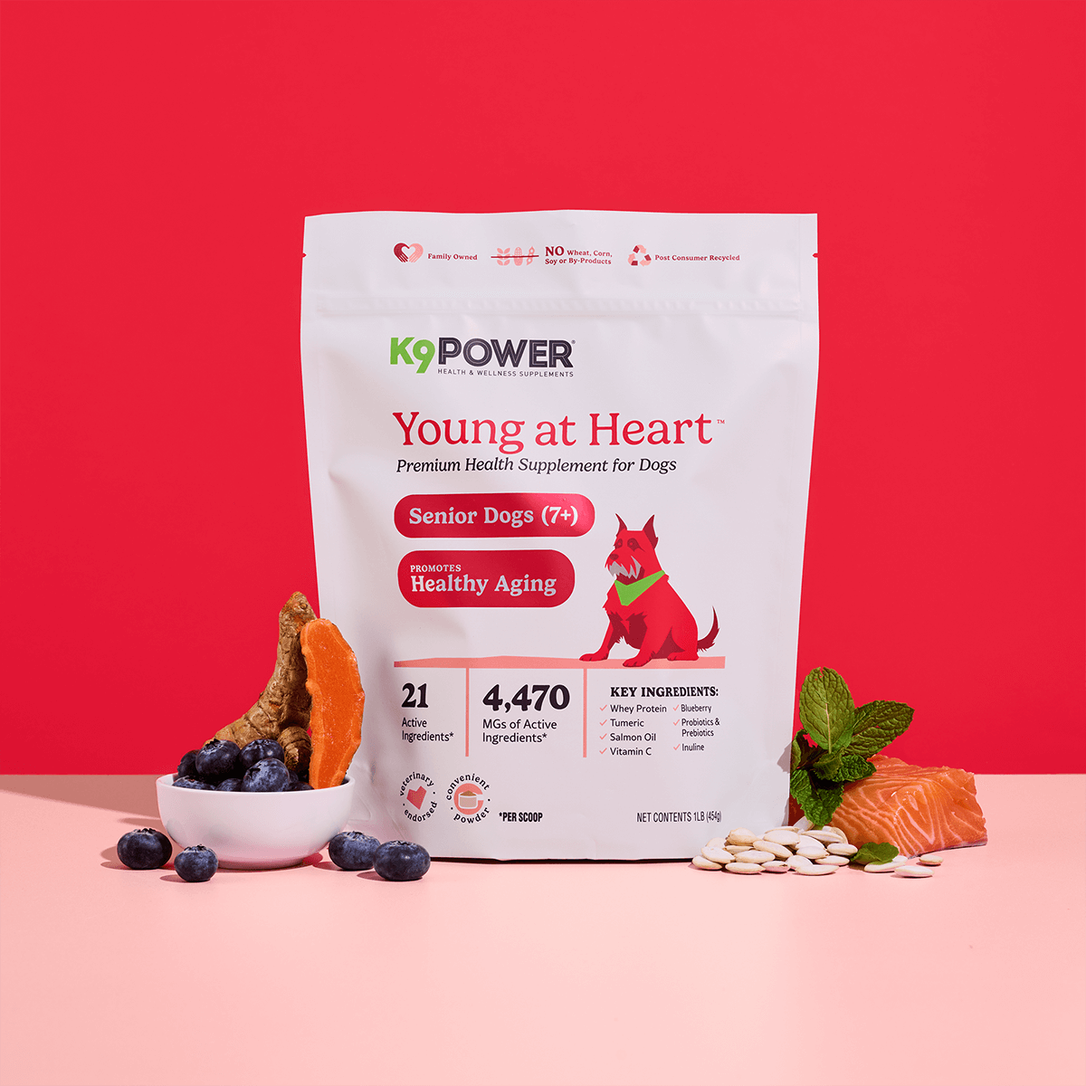 K9 Power Packaging Redesign Premium Health Supplement for Dogs Young at Heart