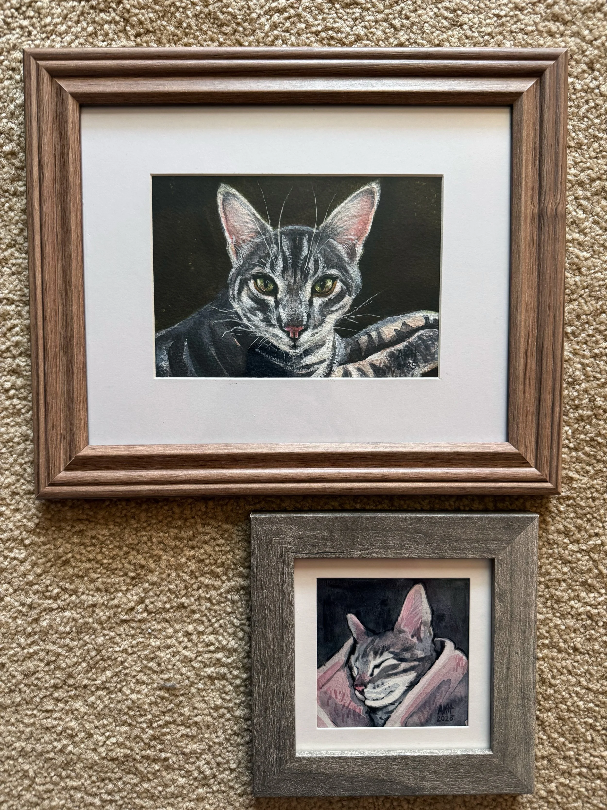 Framed Watercolor - "Tank" - Portrait
top (5" x 7") bottom (4" x 4")
