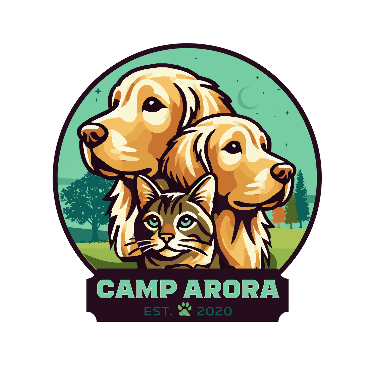 Camp Arora LLC
