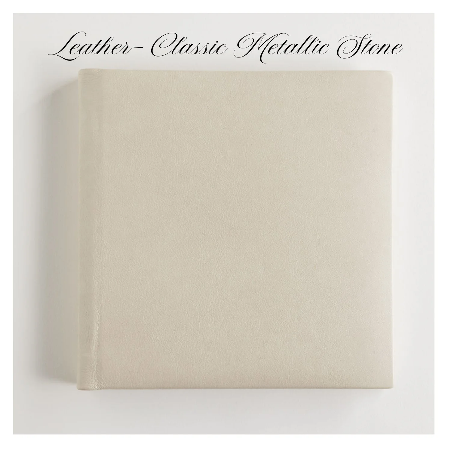 Photo-Album-Leather-Metallic-Stone-1.jpeg