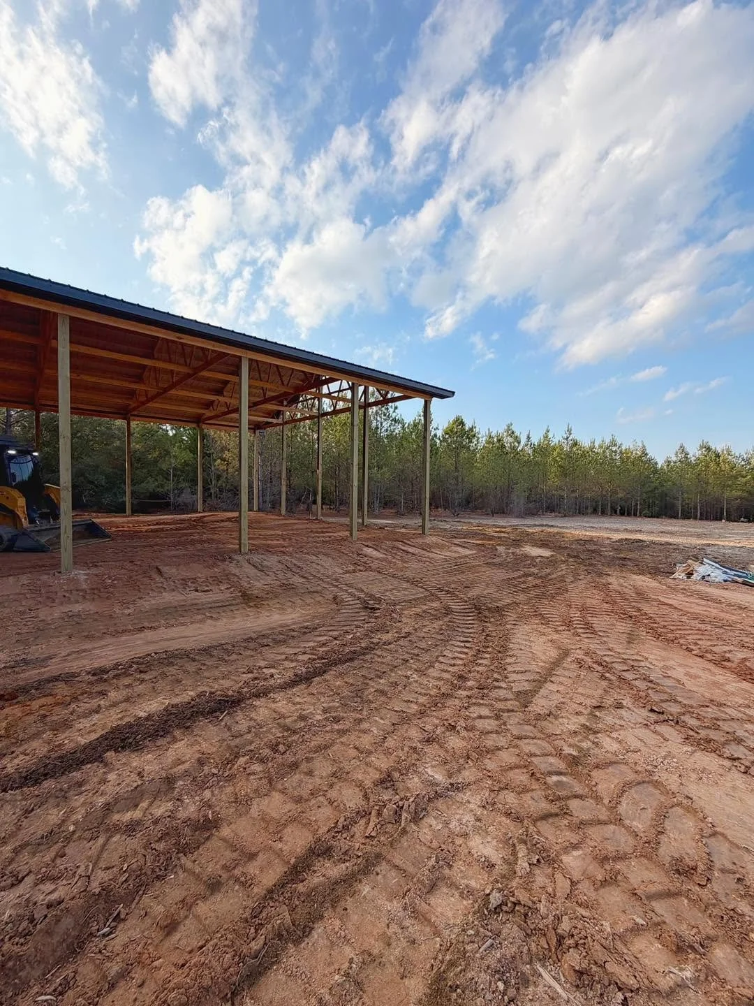 Fallen Trees and Storm Debris on Your Lake Murray Property? Here Is How to Handle It