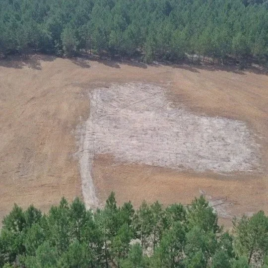 Land Clearing Services in Lexington, Columbia, Midlands, and surrounding areas