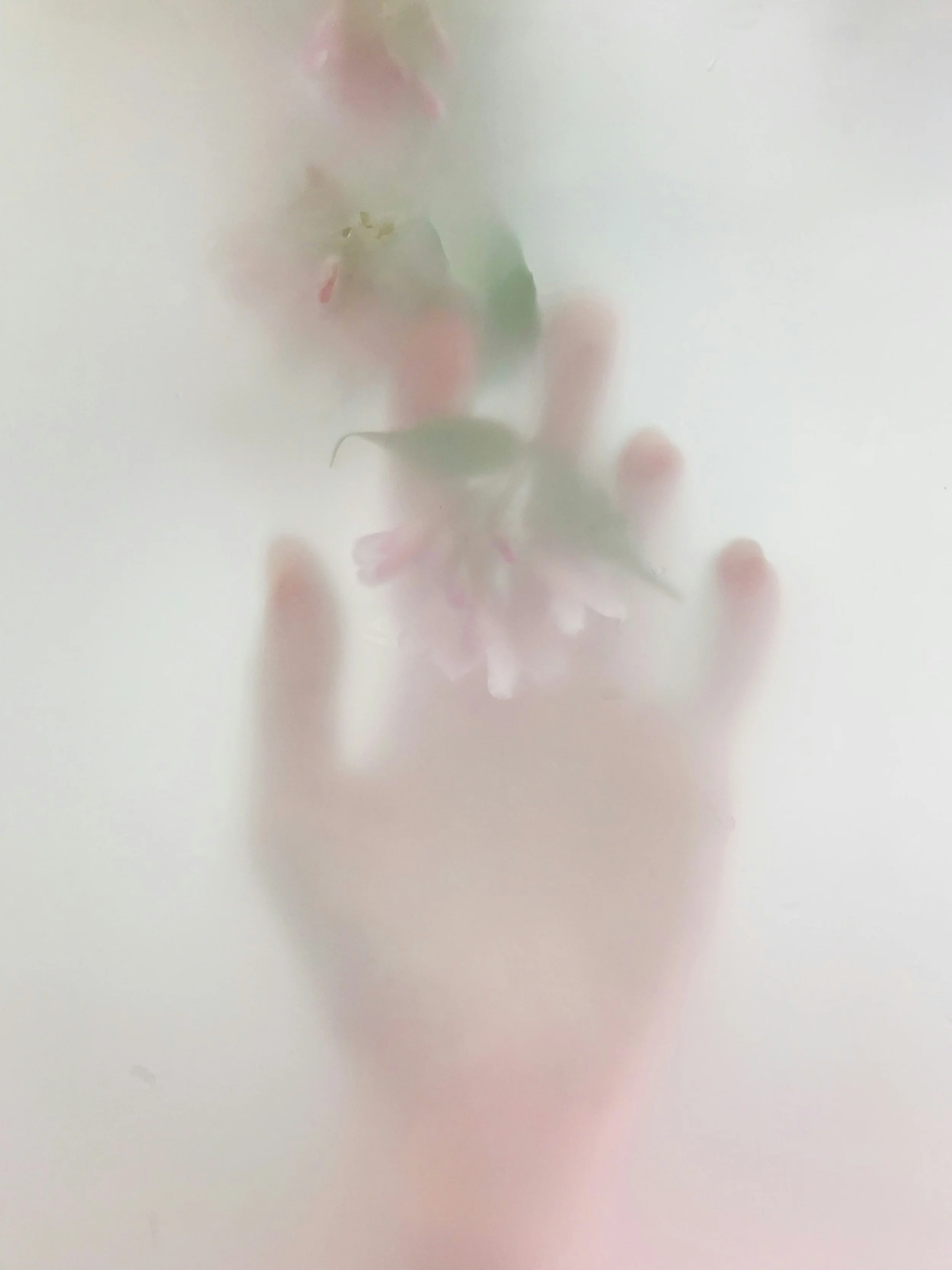A hand pressing against a frosted or translucent surface with blurred pink and white flowers visible behind it.