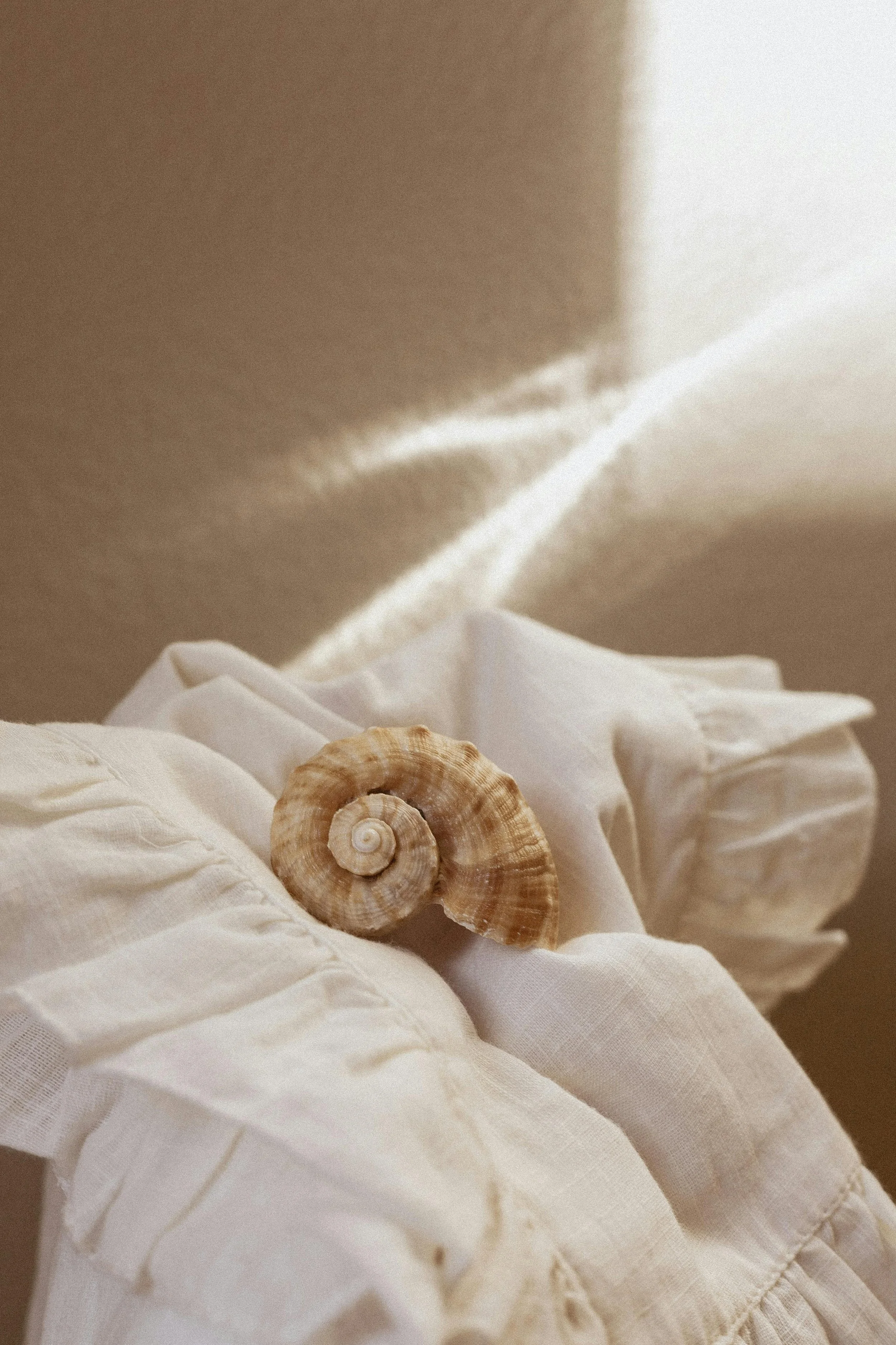 A spiral seashell resting on a soft, white, crinkled fabric with a neutral-colored wall in the background, illuminated by natural light.