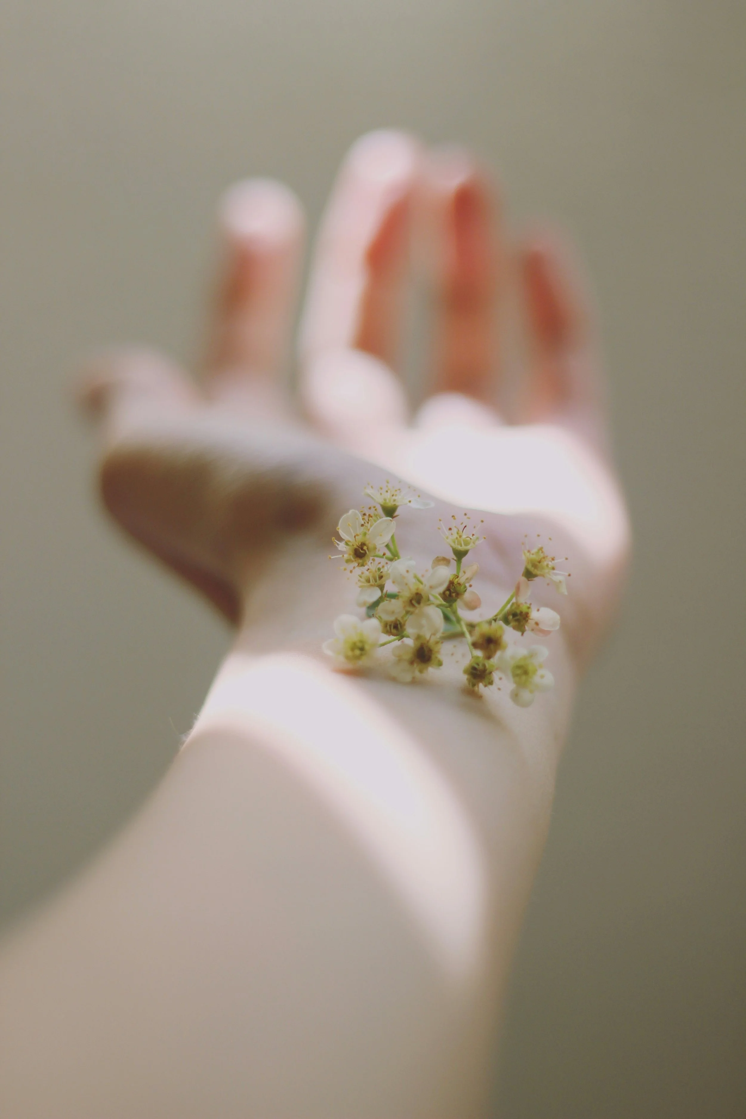 A close-up of a hand with small white flowers resting on the wrist and back of the hand.