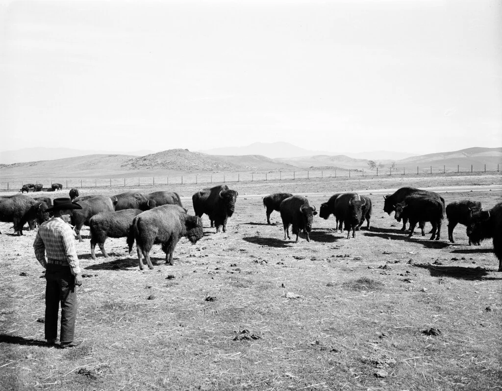 Orbit #30: The Only “Lessons” Post I’ll Ever Write