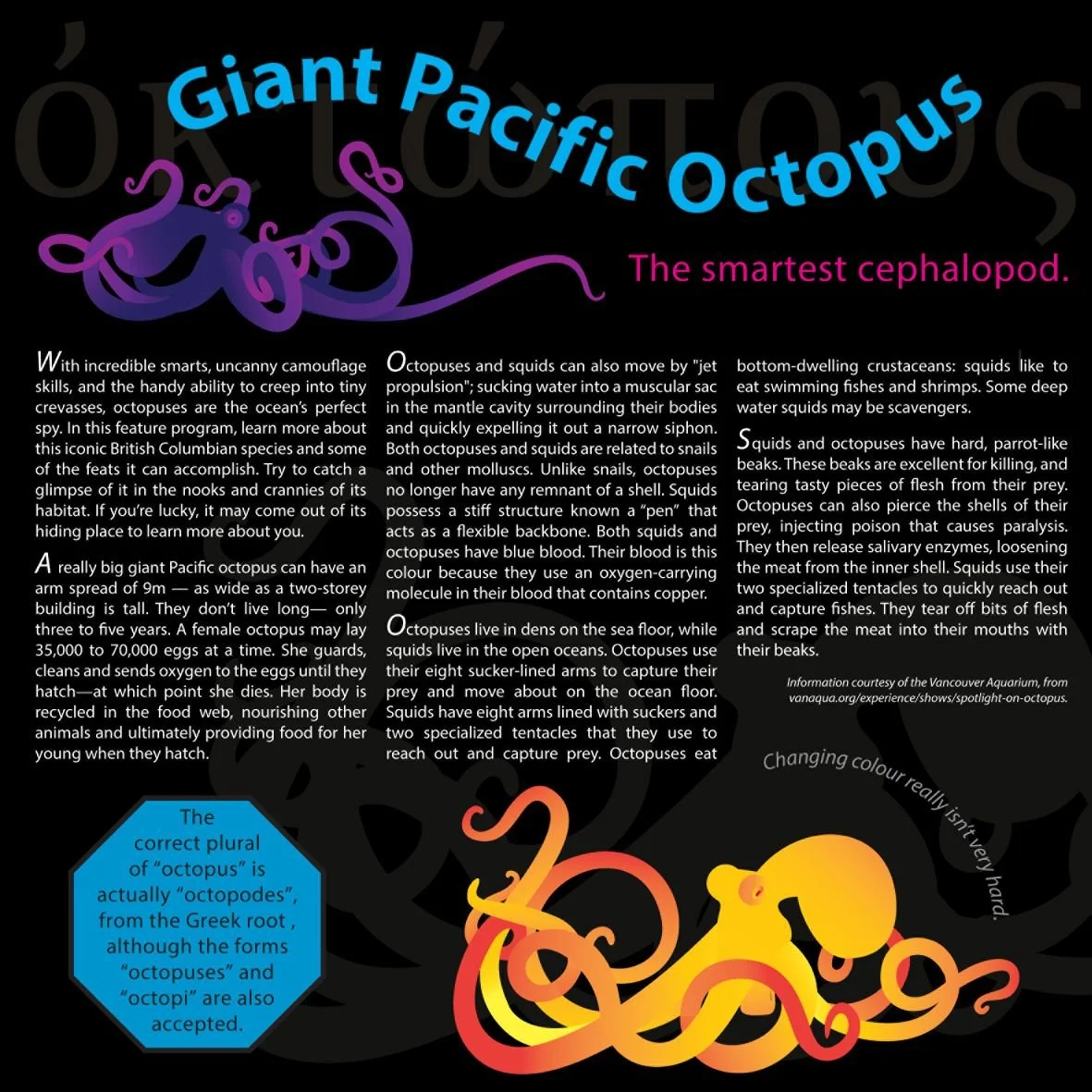 Octopus Info Magazine Clip