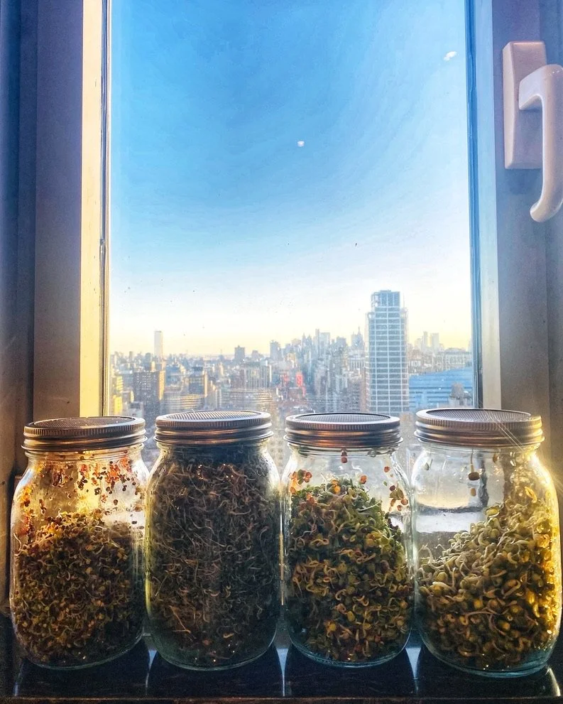MICROGREENS, MACRO IMPACT: THE NUTRITIONAL SCIENCE BEHIND SPROUTS