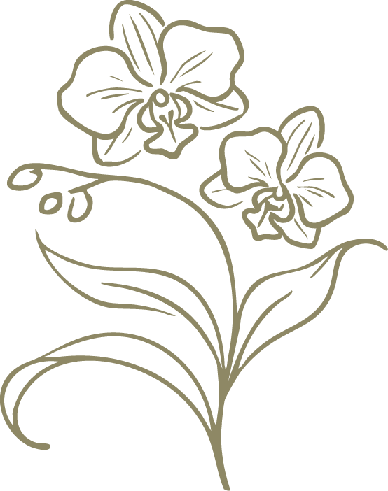 Outline drawing of two flowers with leaves on a black background.