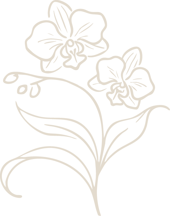 Line drawing of two flowers with leaves on a black background.