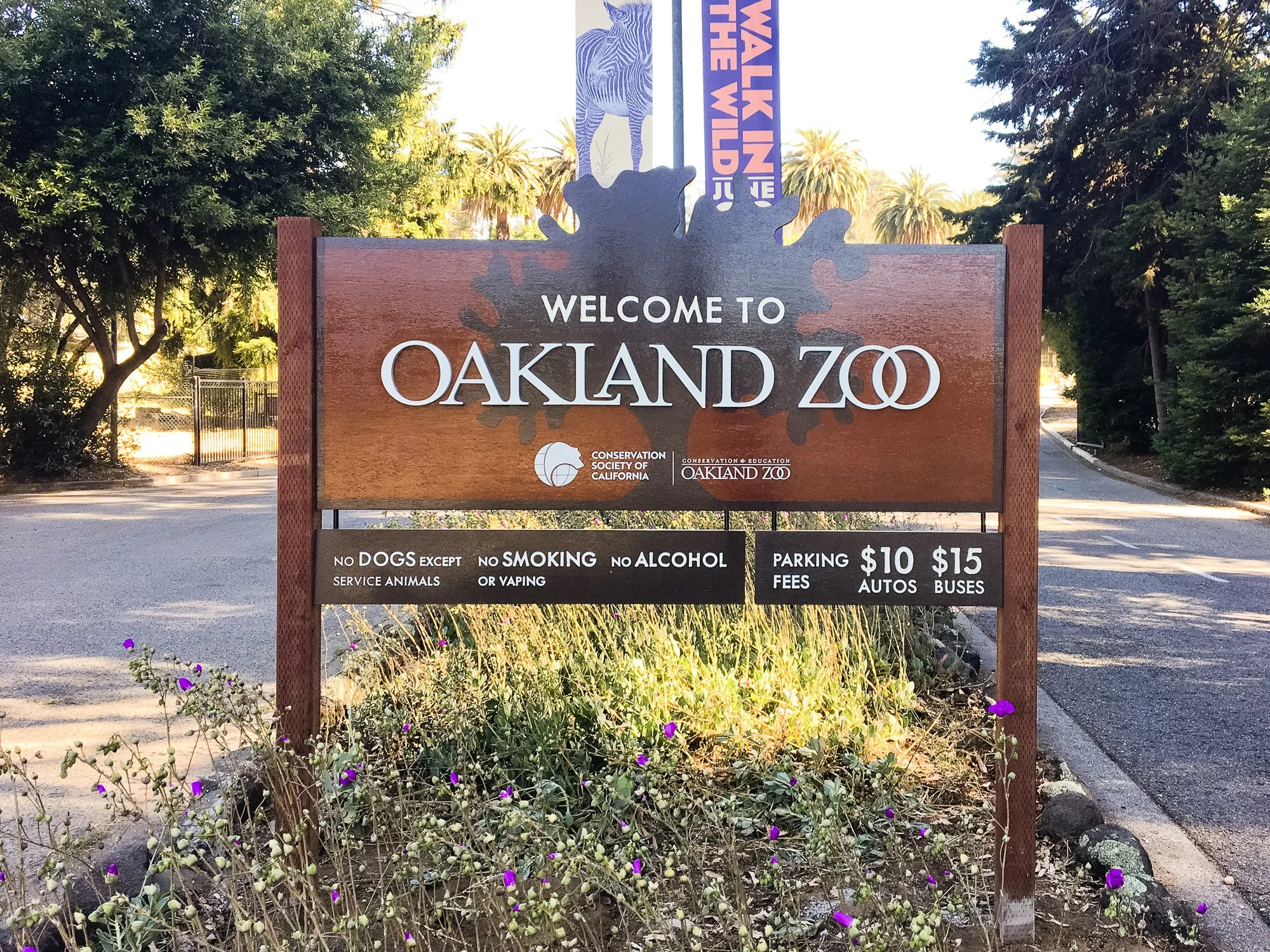 oak-zoo-full-straight.jpg
