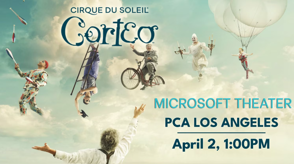Cirque Du Soleil