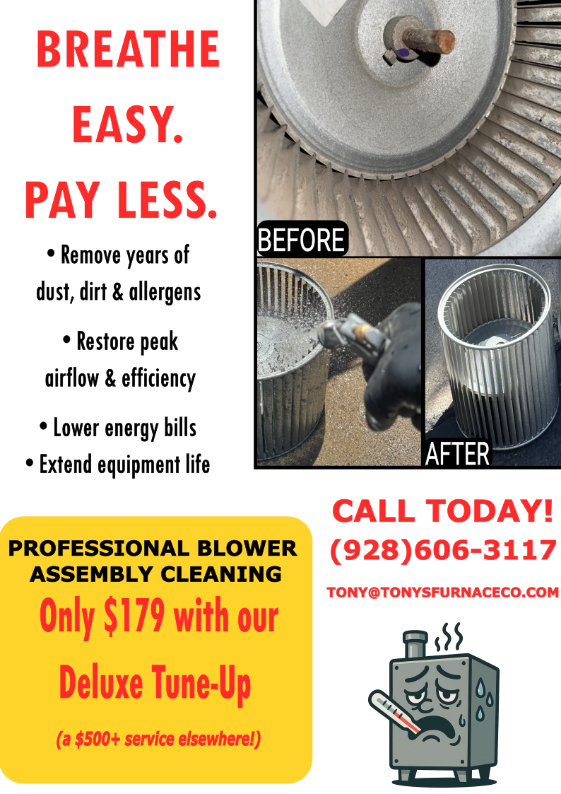 Blower Cleaning Flyer.png