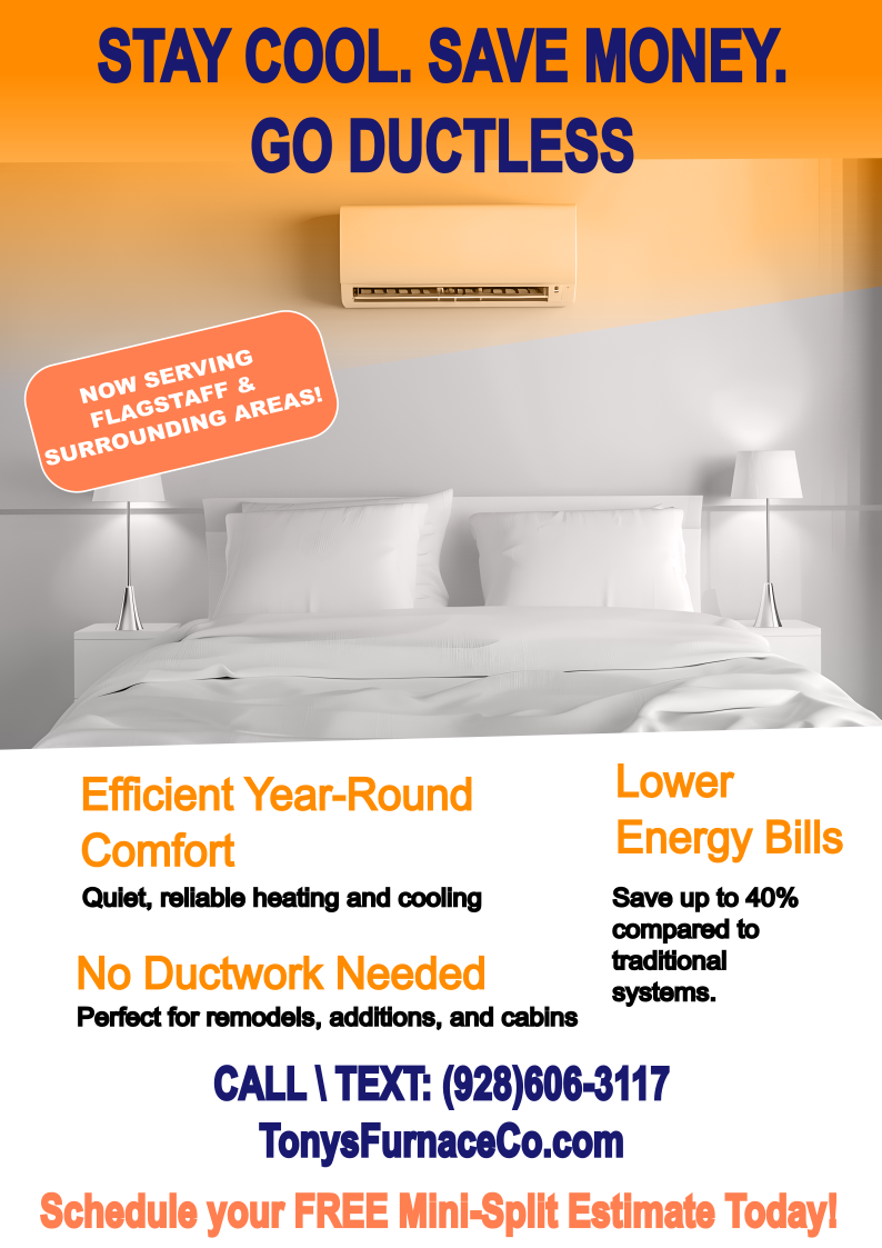 Mini Split Flyer.png