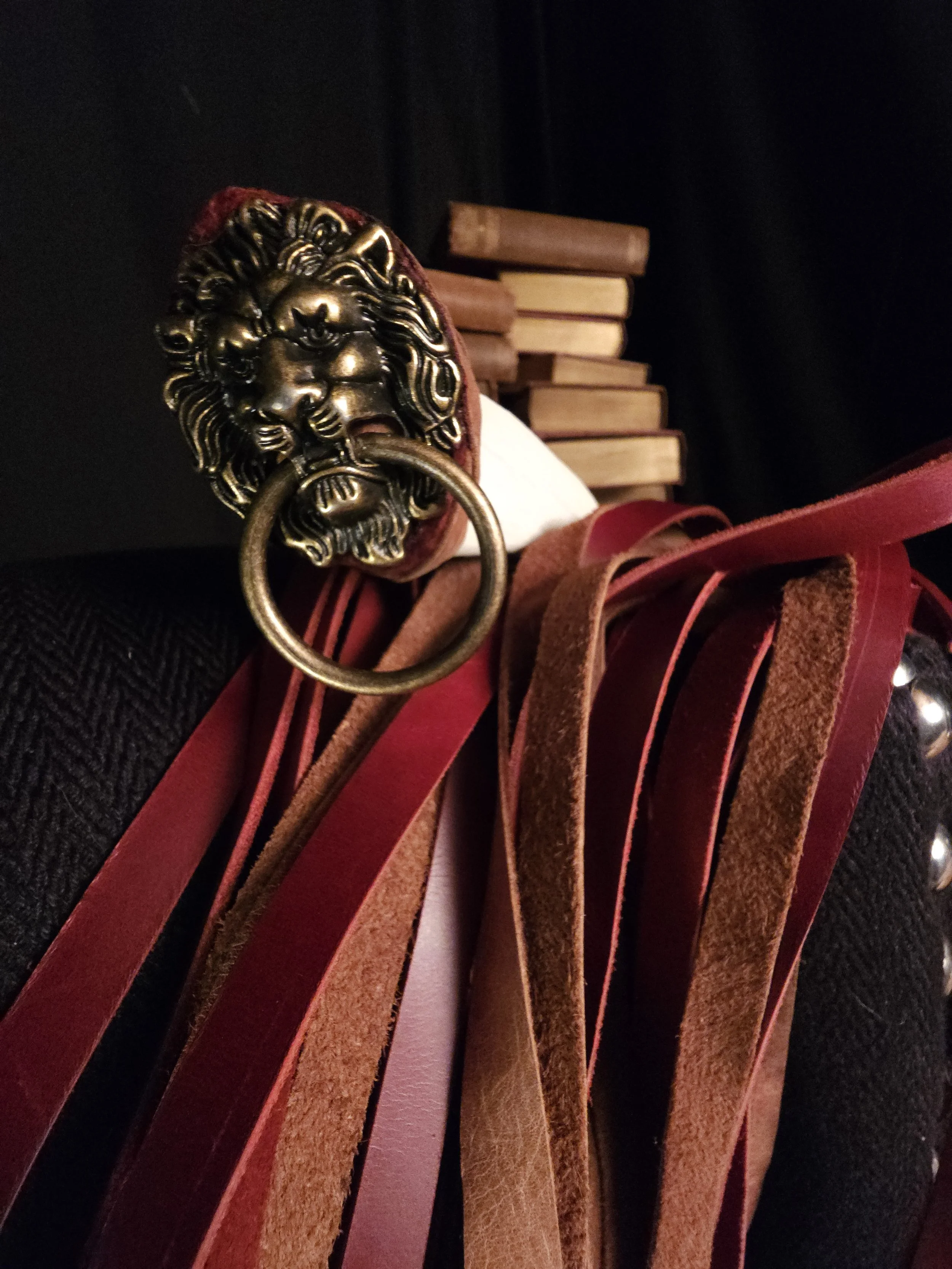Close-up of a black textured fabric with a decorative lion head door knocker, leather and fabric straps, and a stack of books in the background.