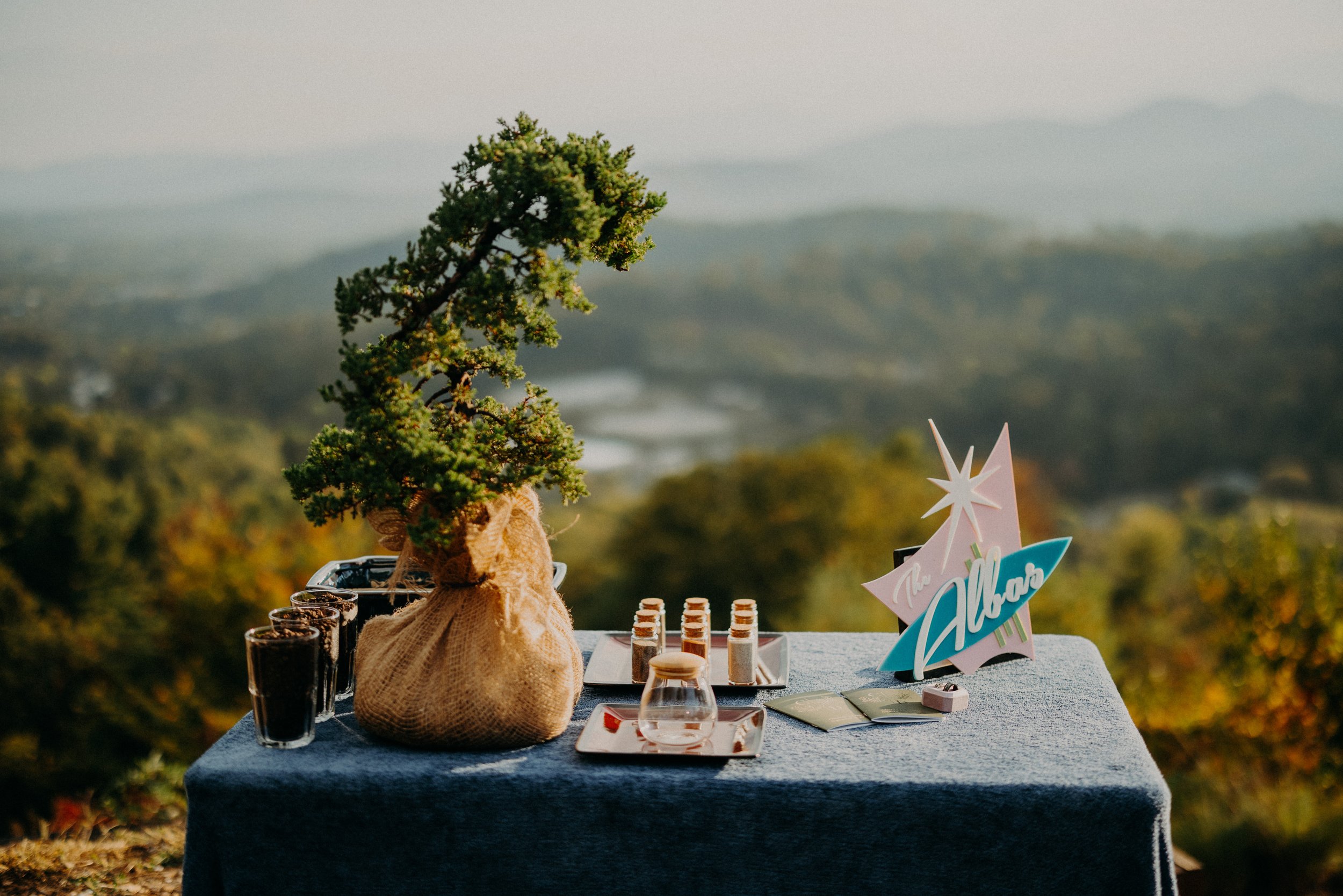 Asheville Elopement Photographer Allegory and Elm-227.jpg