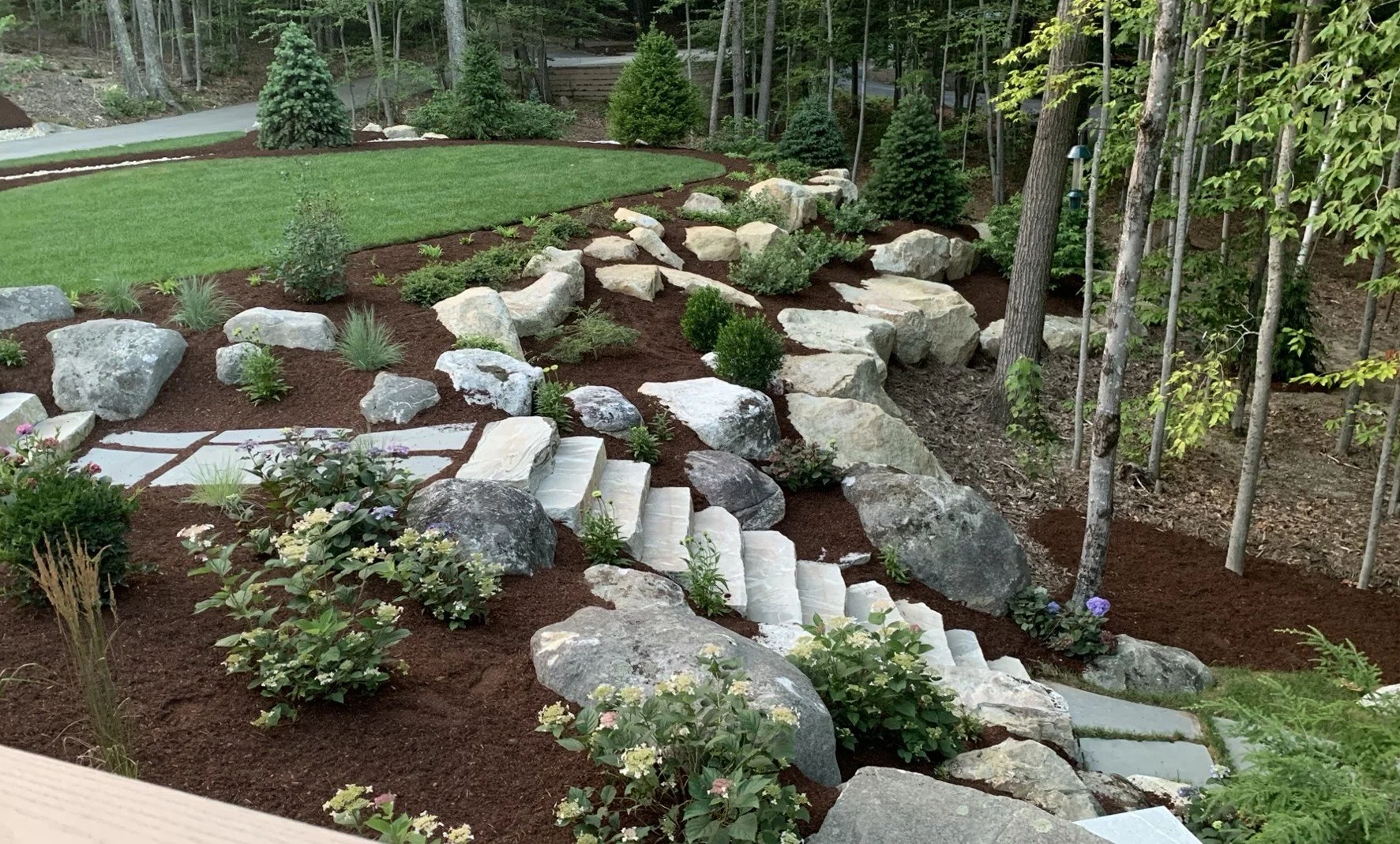 parker stone IMG_2900 crop2 copy.jpg