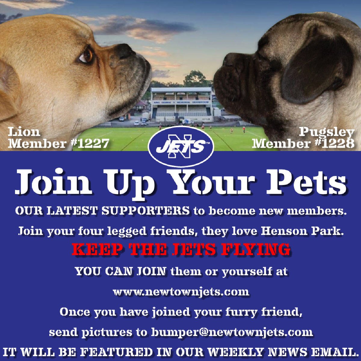 Now you can sign up your pets as Keep The Jets Flying members
