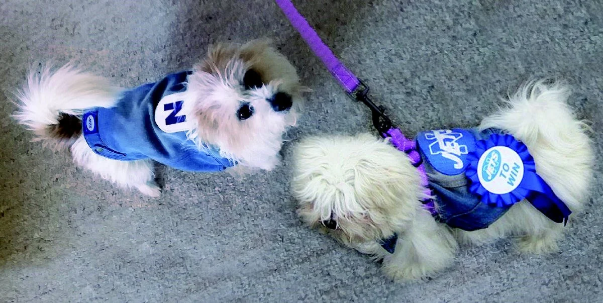 Please continue your support for the Keep the Jets Flying campaign!