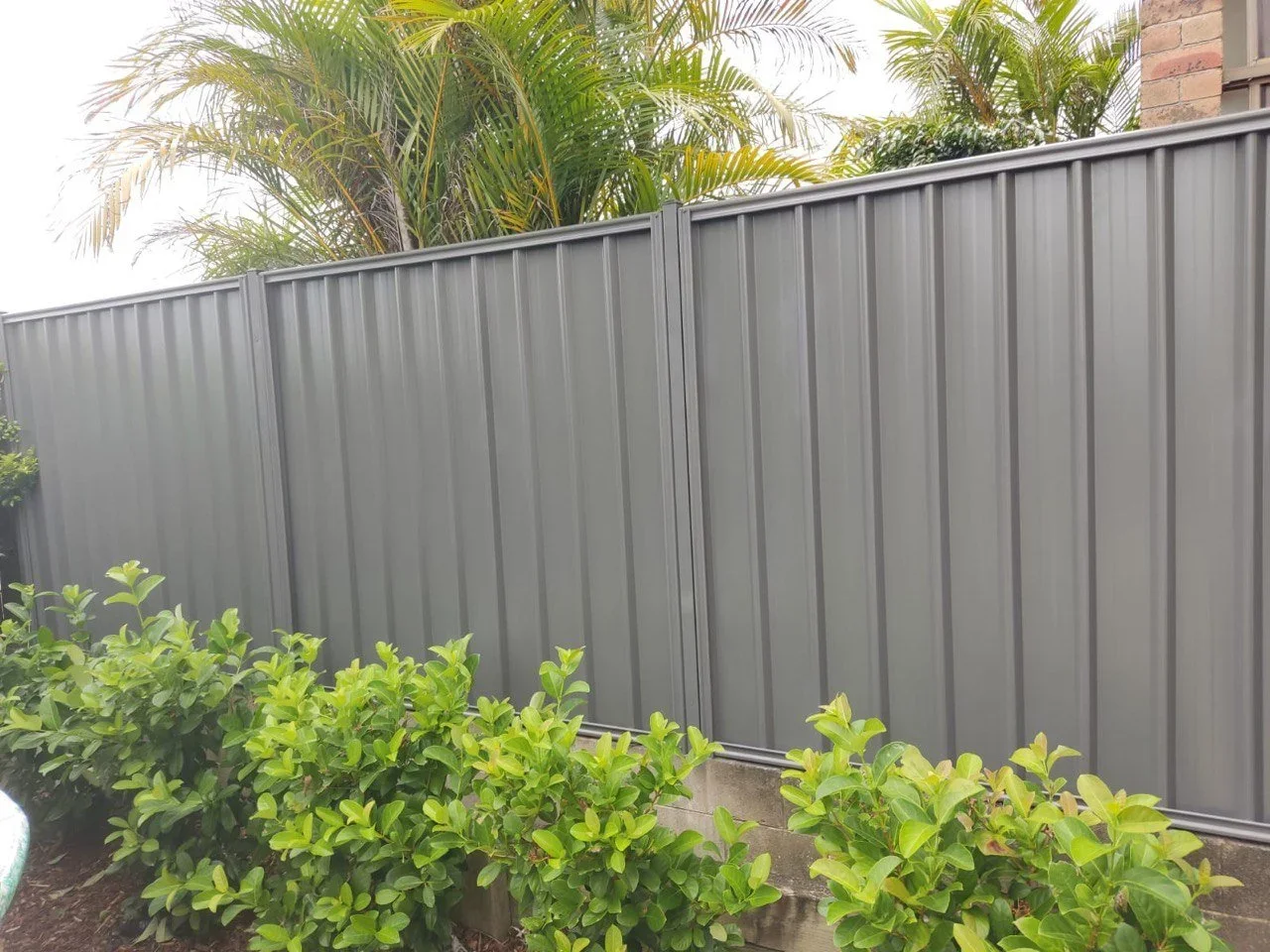 colorbond-fence.webp