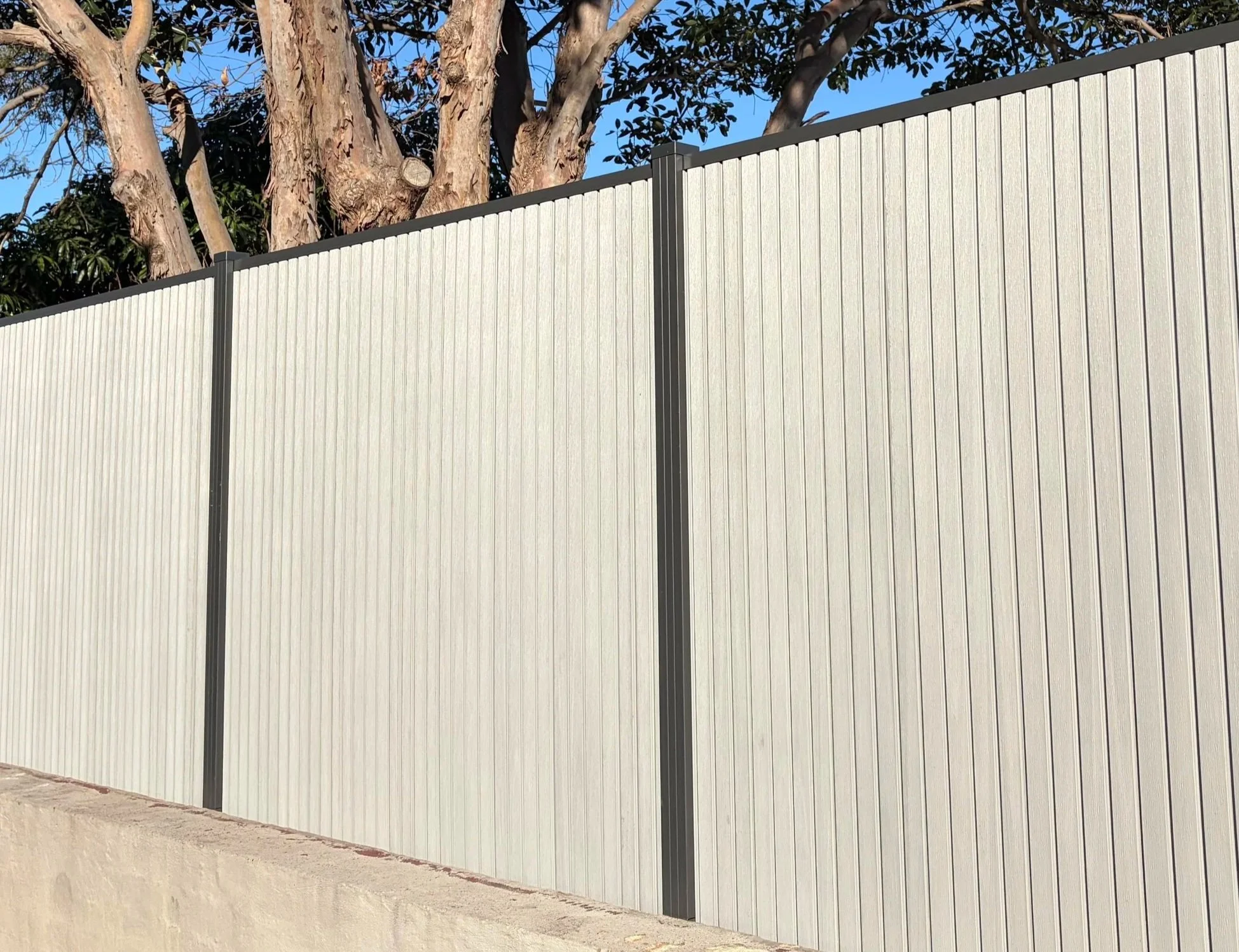 A tall, white, vertical-paneled wpc fence with black aluminium posts stands next to a tree with thick, textured bark and sparse foliage. Blue sky is visible overhead.