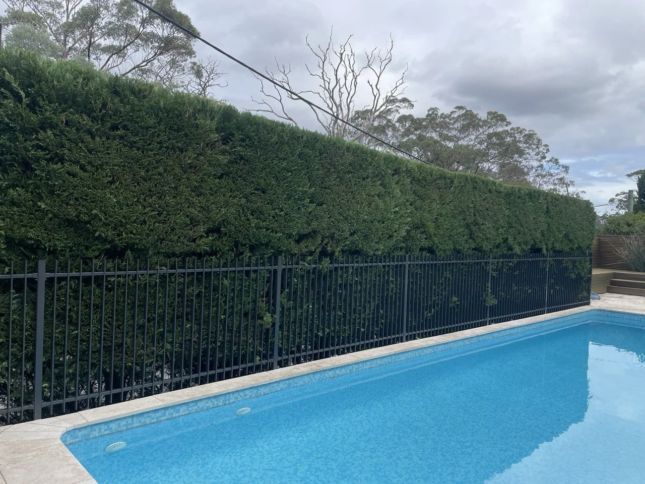 Pool Fences