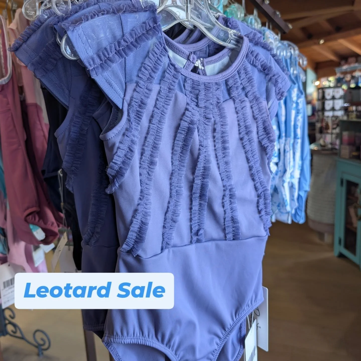 #backtodancesale save 15% on all in stock leotards now. Dance on in and find your new fit! @dancinsoulboutique