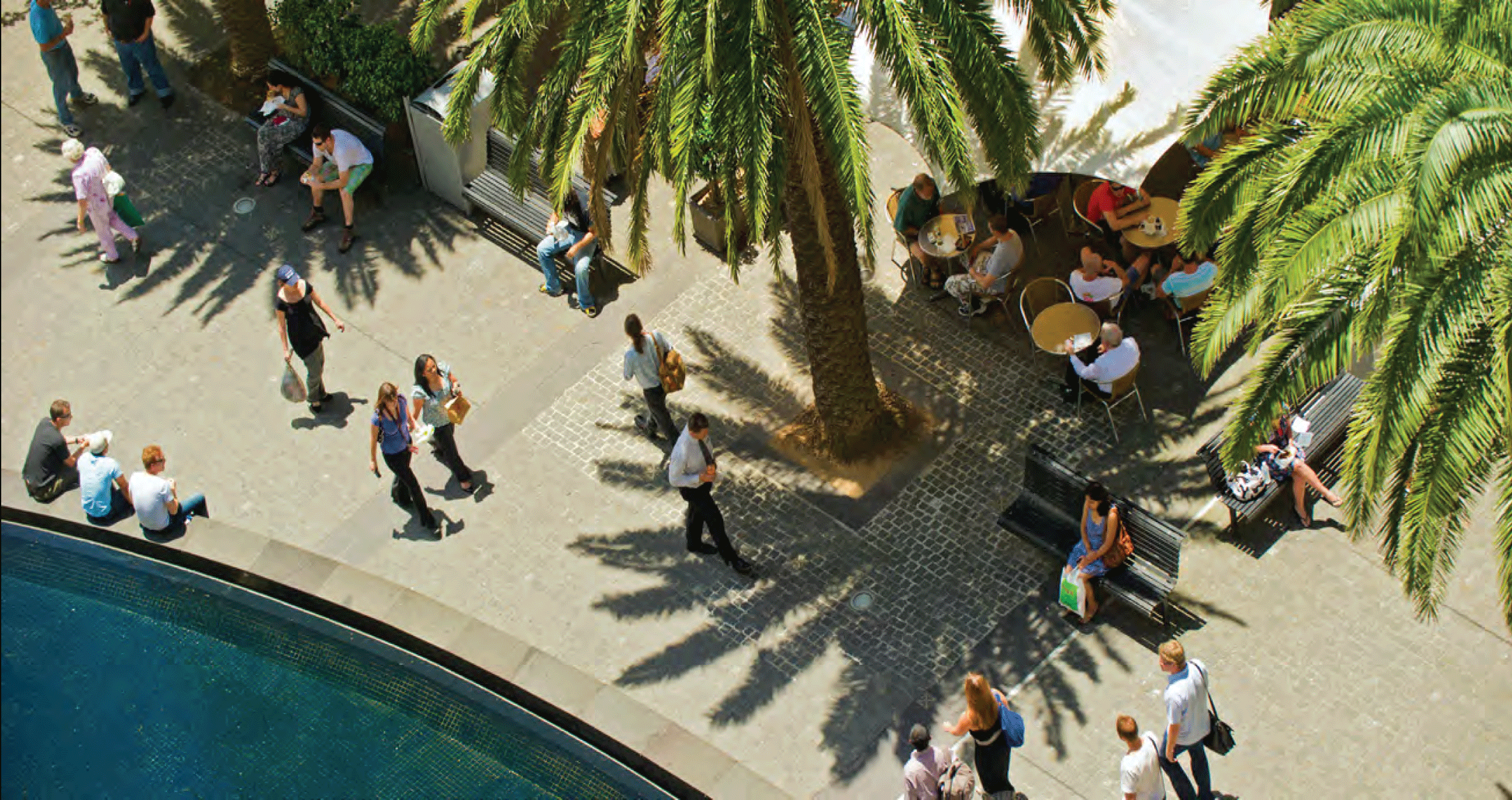 Aerial view of The Forum Plaza with people sitting on benches and walking along a sidewalk shaded by large palm trees near a pool.