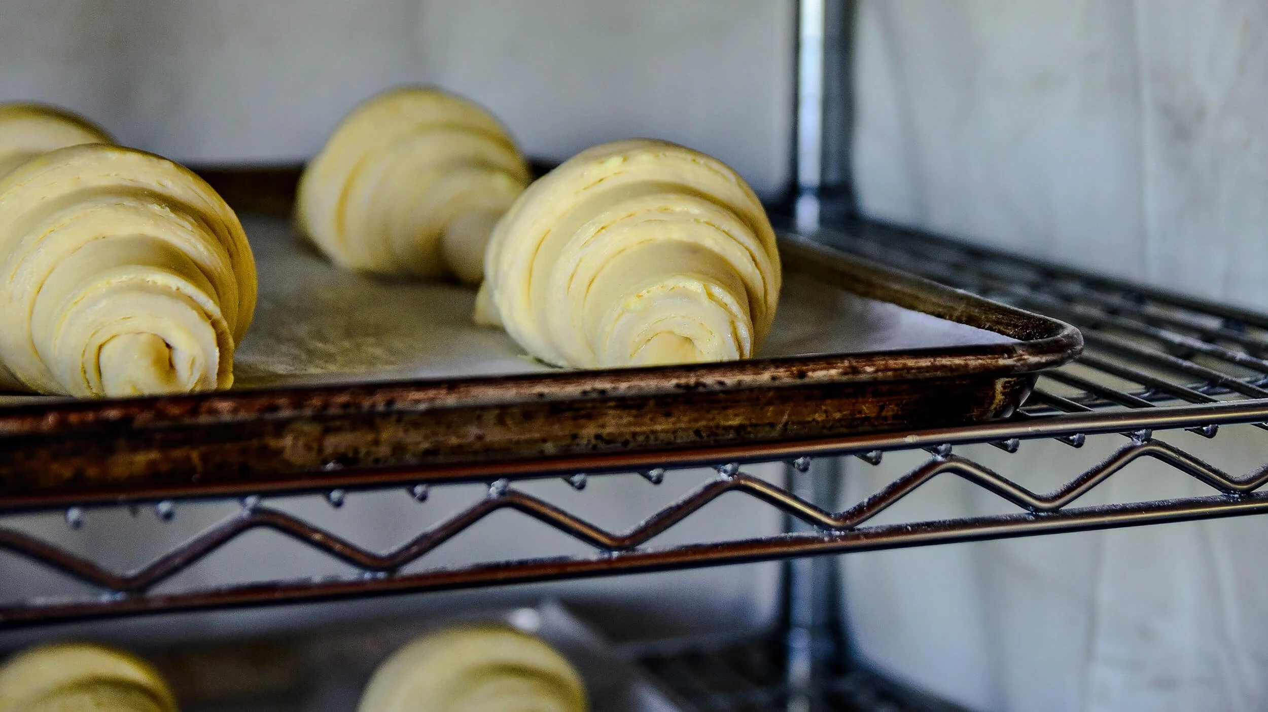 Raw croissants on a baking tray inside an oven or cooling rack.